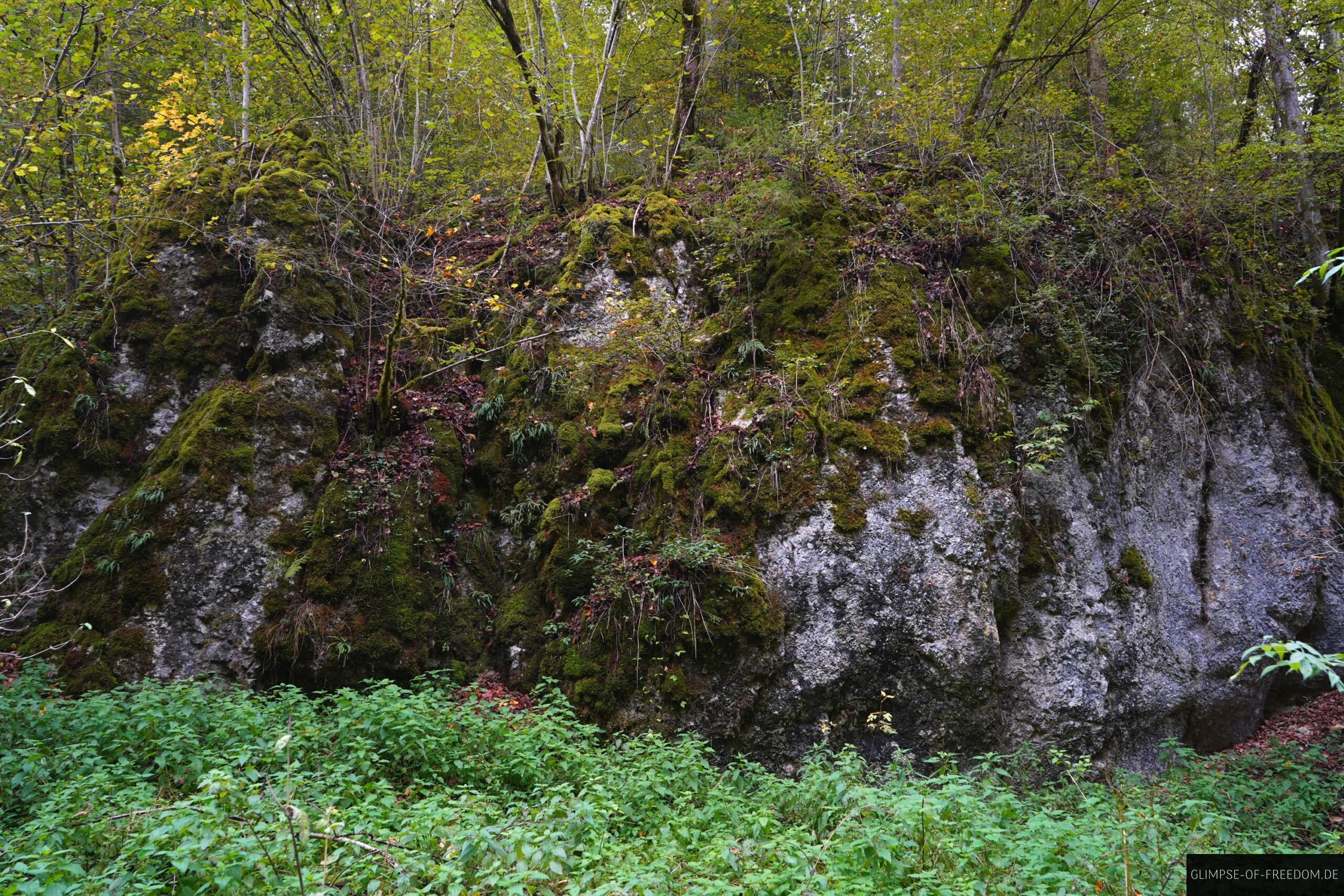Grosser Felsen auf den Donaufelsenlaeufen scaled Großer Felsen auf den Donaufelsenläufen