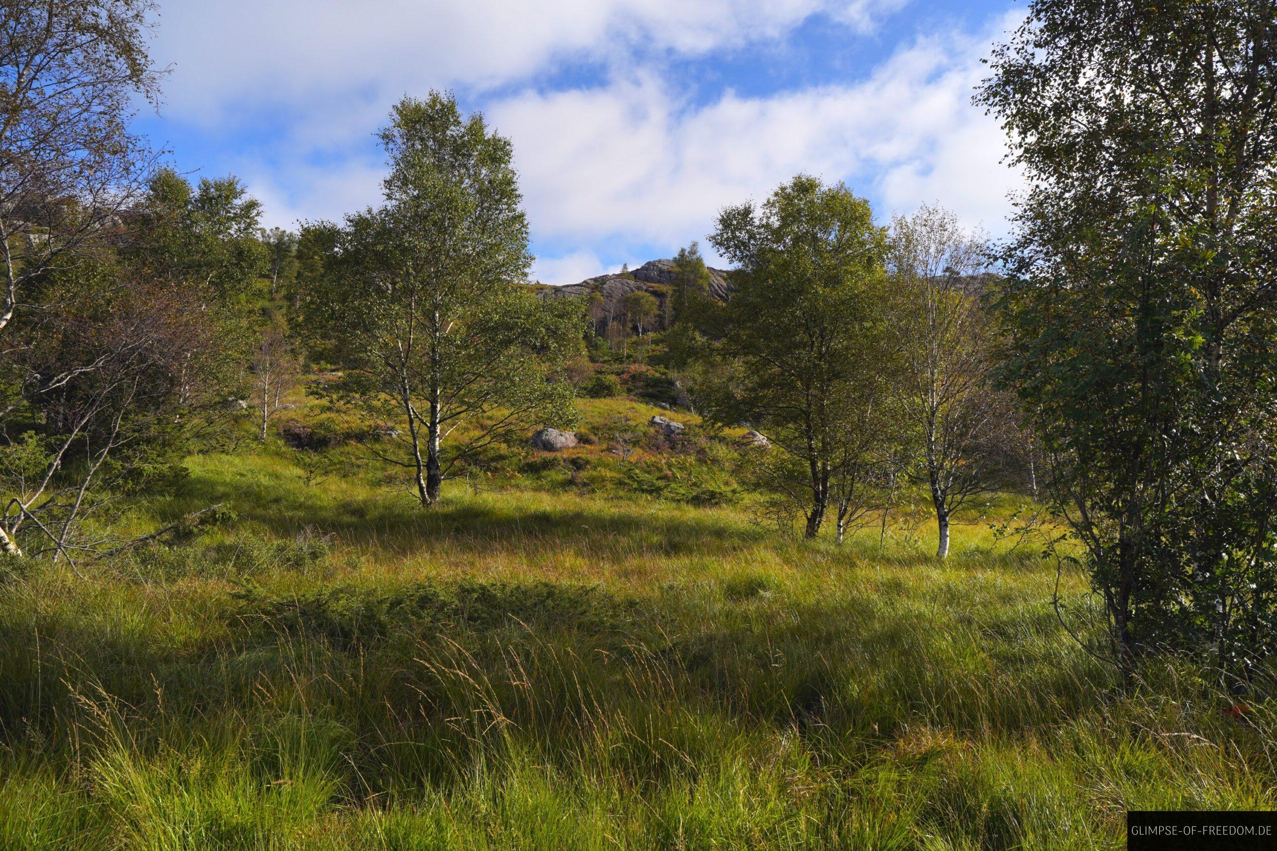 Gruene Landschaft an der Jaeren Landschaftsroute Norwegen scaled Grüne Landschaft an der Jaeren Landschaftsroute Norwegen