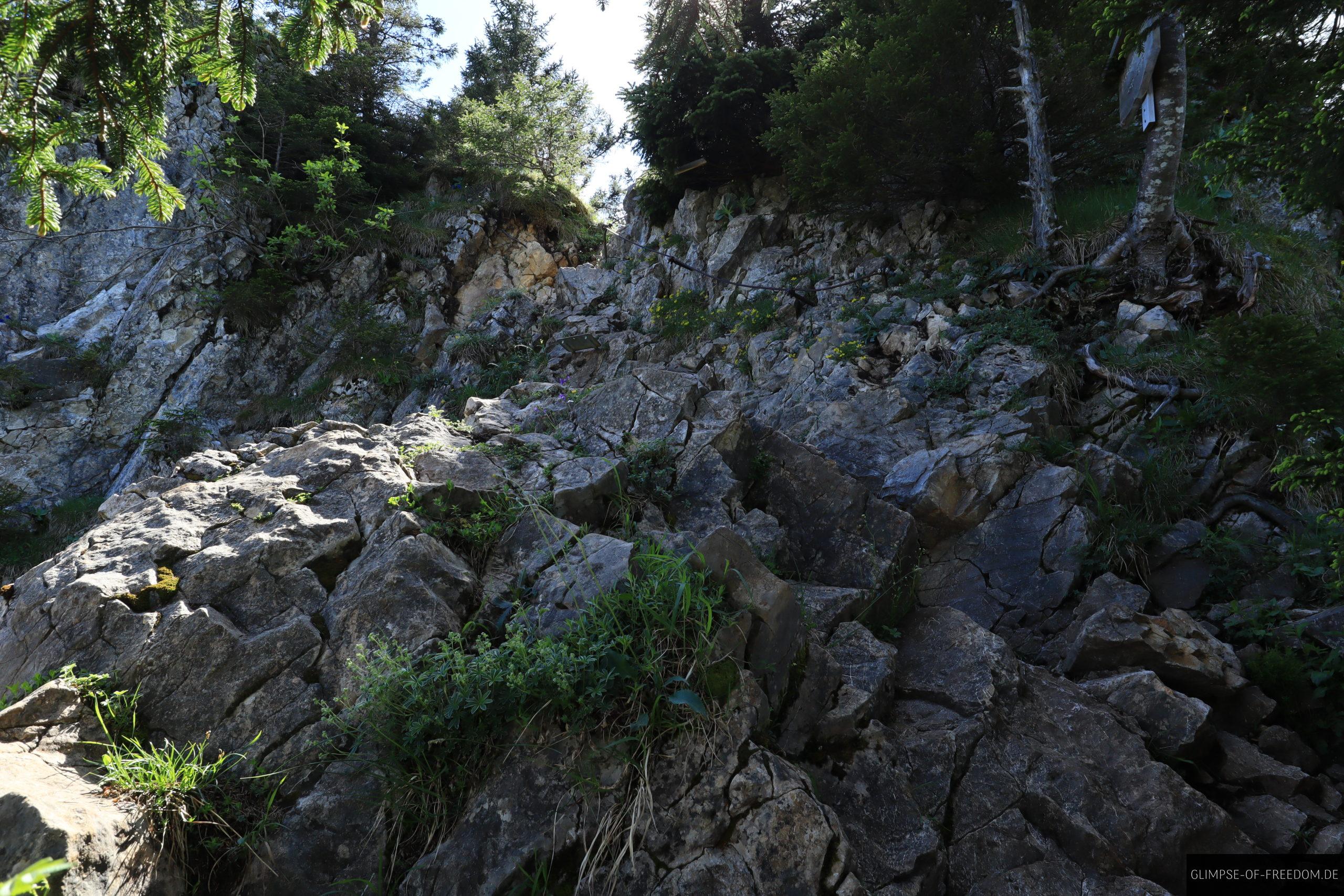 Gruenten Klettersteig scaled Grünten Klettersteig
