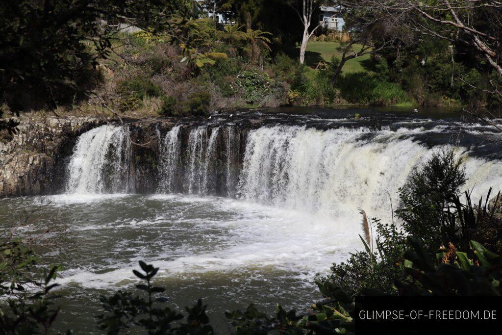 Haruru Falls - Hufeisenförmiger Wasserfall in Neuseeland