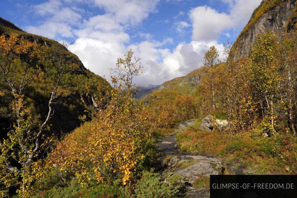 Herbstlandschaft im Aurlandsdalen Norwegen