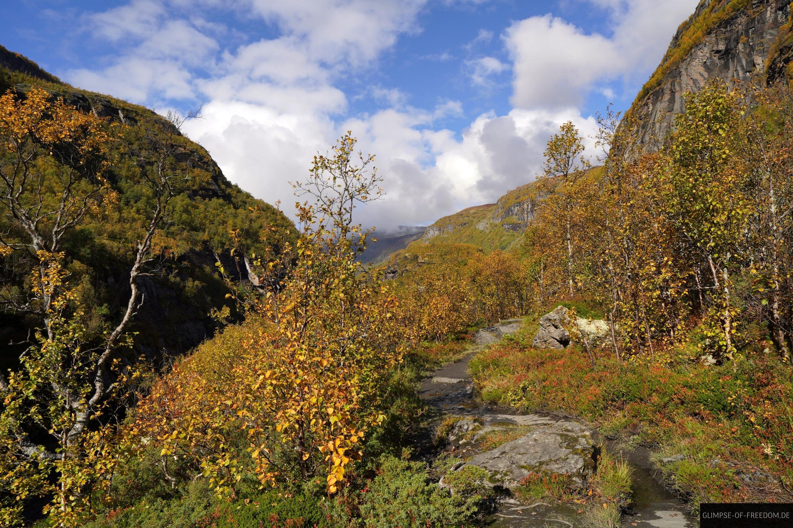Herbstlandschaft im Aurlandsdalen Norwegen Herbstlandschaft im Aurlandsdalen Norwegen