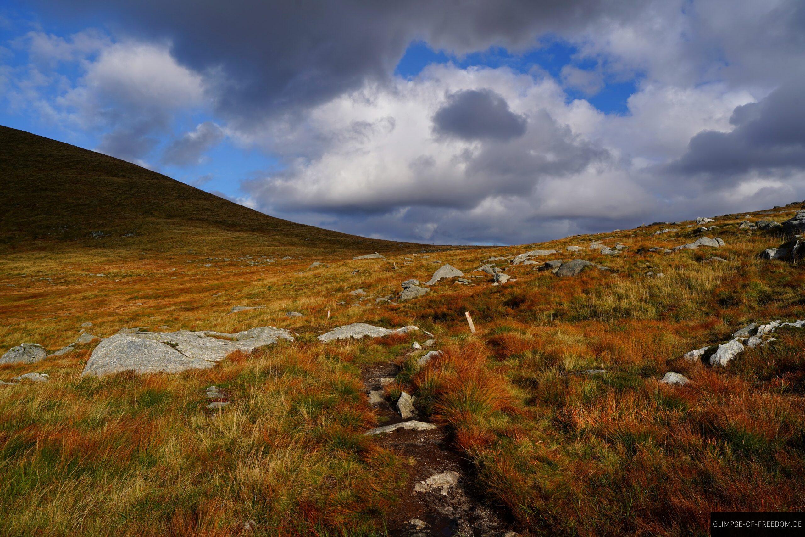 Herbstliche Graslandschaft nahe der Vetvika scaled Herbstliche Graslandschaft nahe der Vetvika