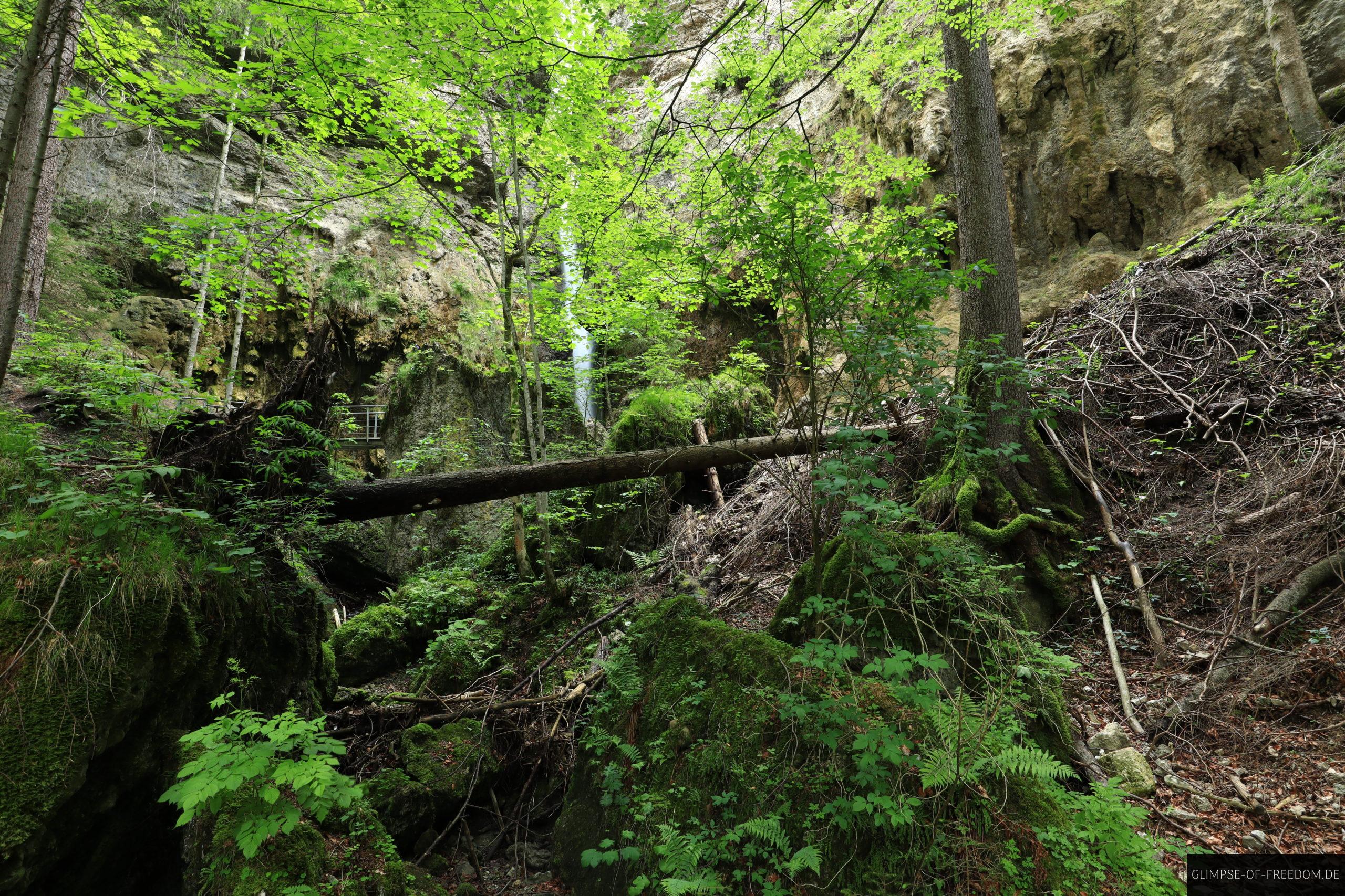 Hinanger Wasserfall durch den Wald bei Sonthofen