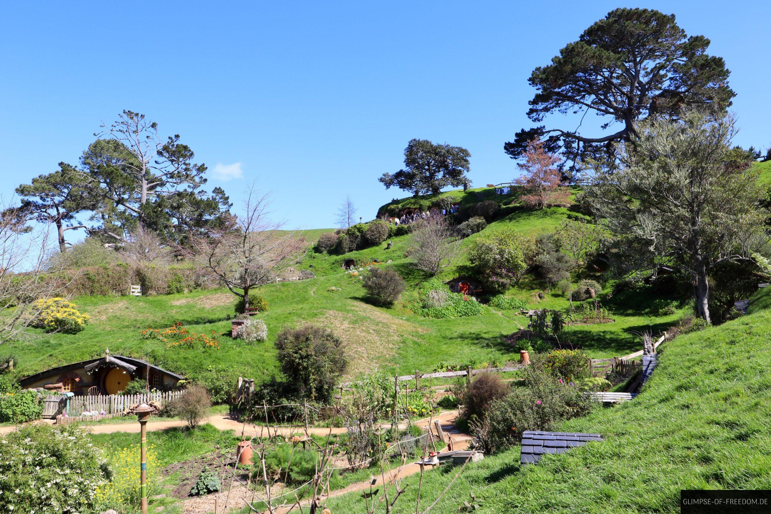Hobbiton Movie Set Tour scaled Hobbiton Movie Set Tour