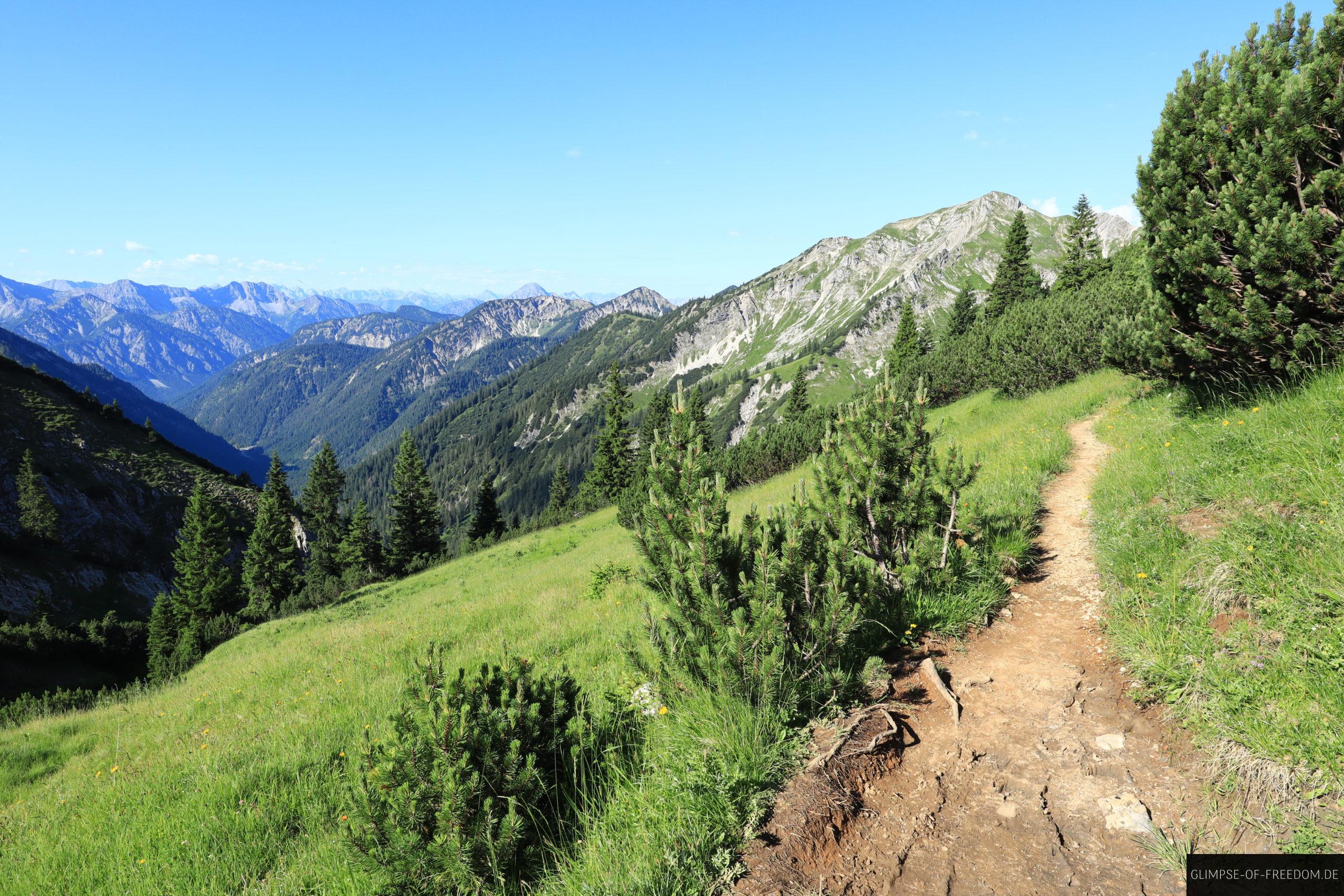 Hochplatten Pfad durch Wiesen und Latschen scaled Hochplatten Pfad durch Wiesen und Latschen