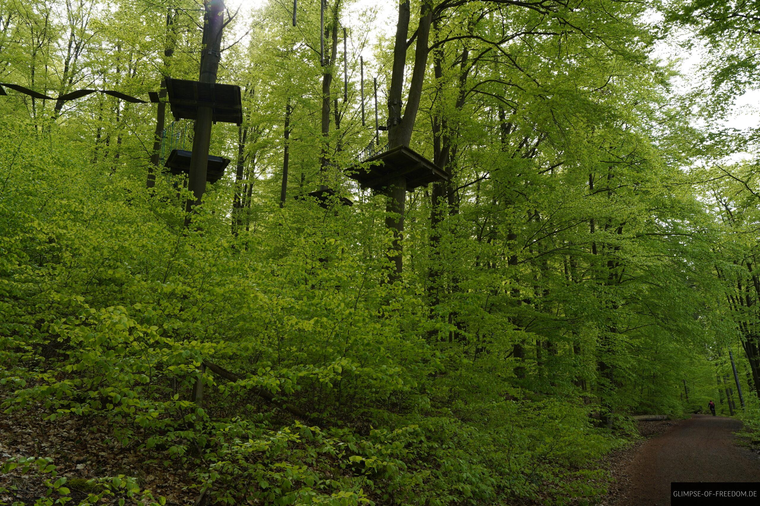 Hochseilgarten Edersee scaled Hochseilgarten Edersee