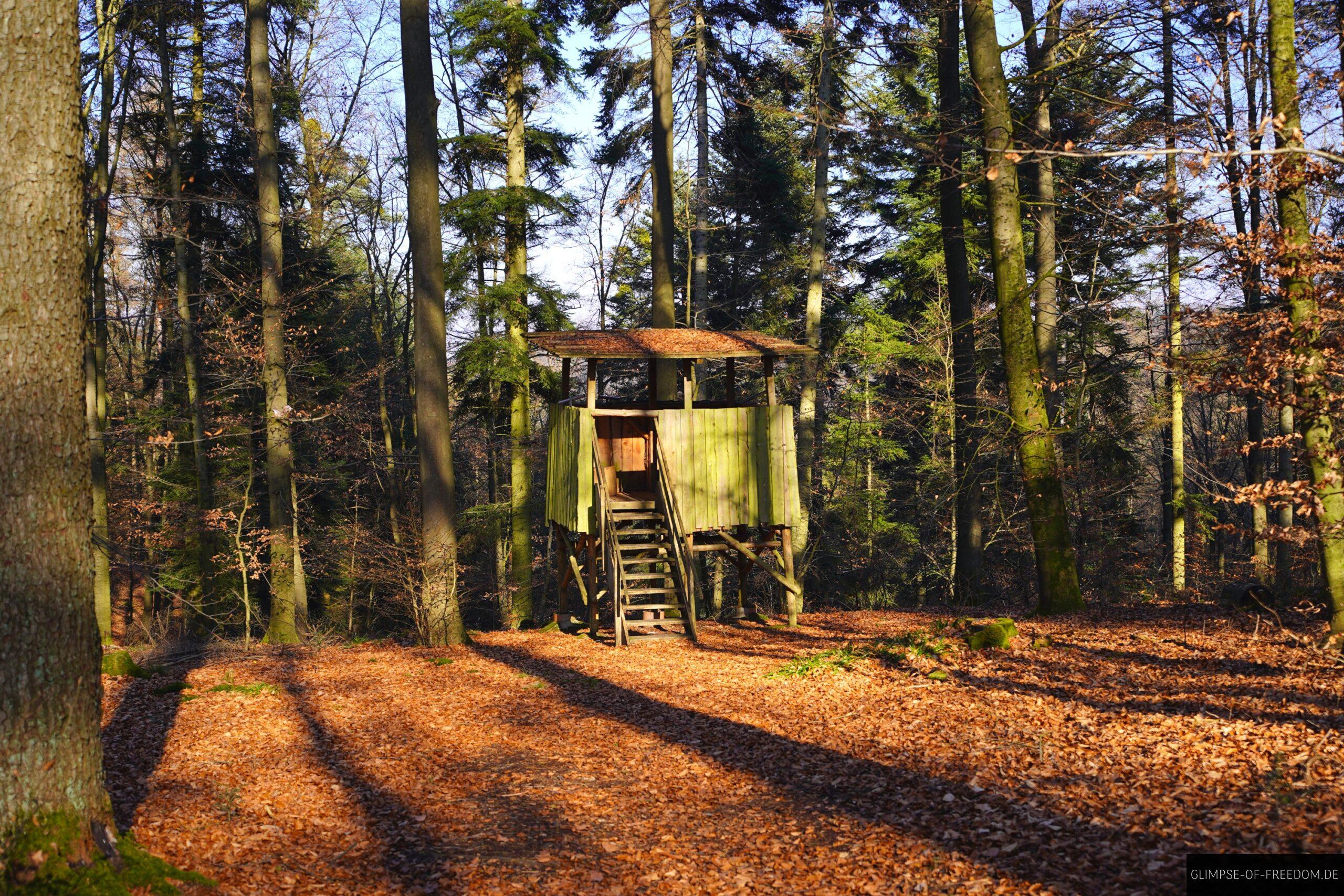 Hochsitz auf dem OD2 Wanderweg scaled Hochsitz auf dem OD2 Wanderweg