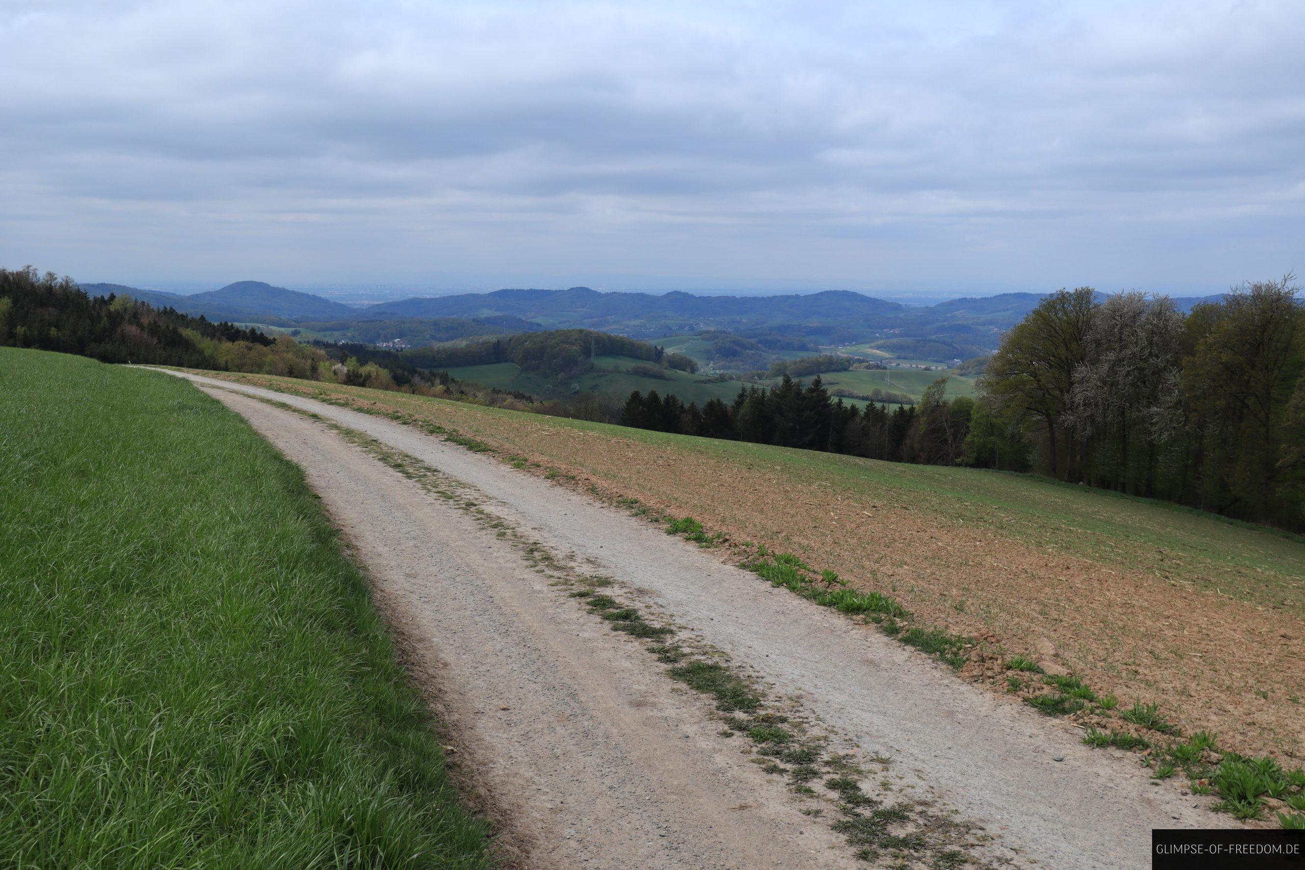 Höhenweg-Tromm Wald-Michelbach