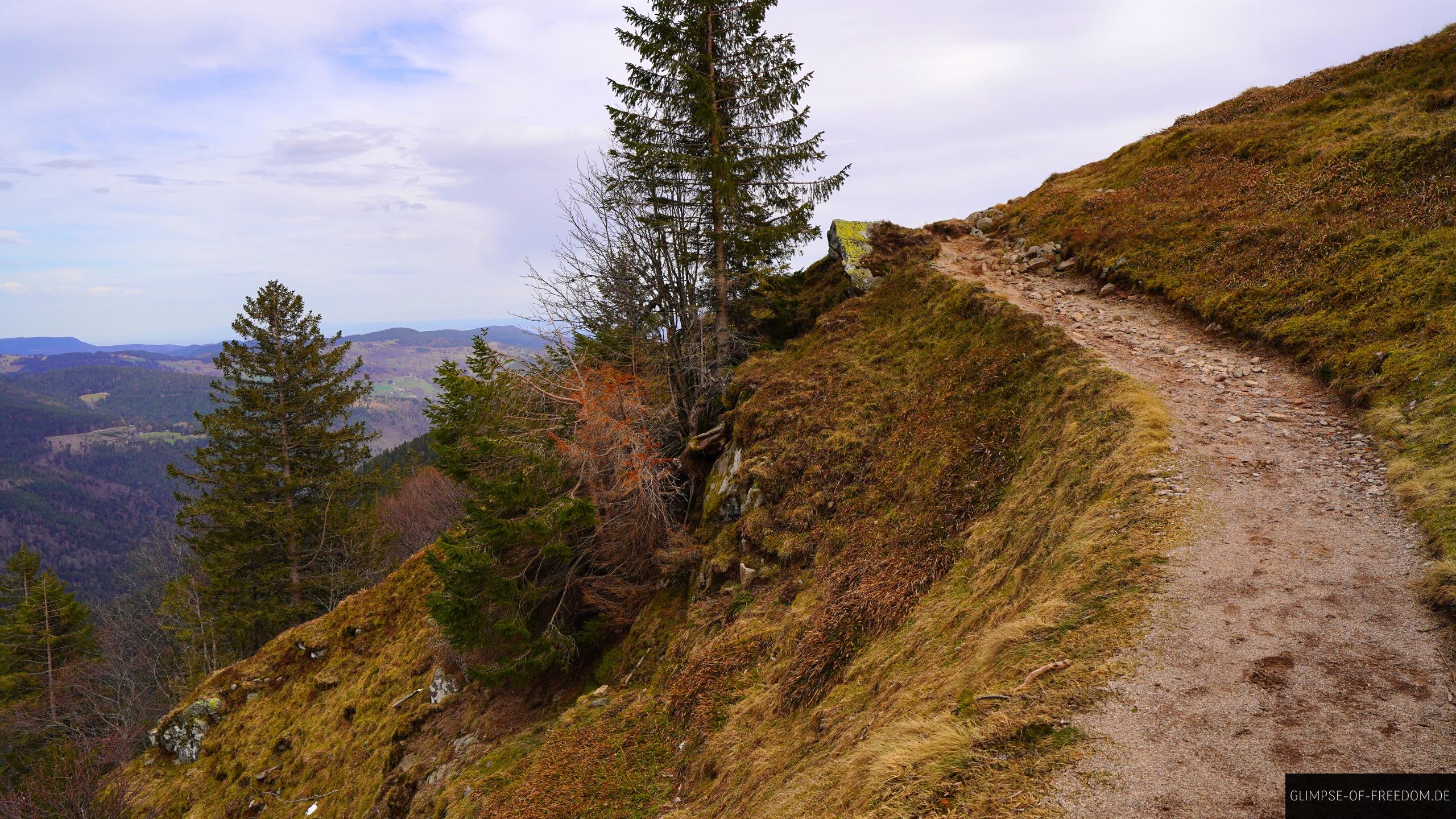 Hohneck Wanderung Hohneck Wanderung