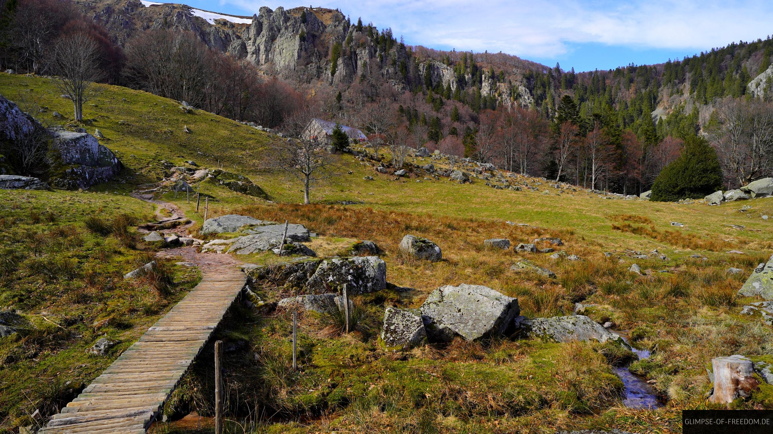 Holzweg im Frankenthal in den Vogesen Holzweg im Frankenthal in den Vogesen