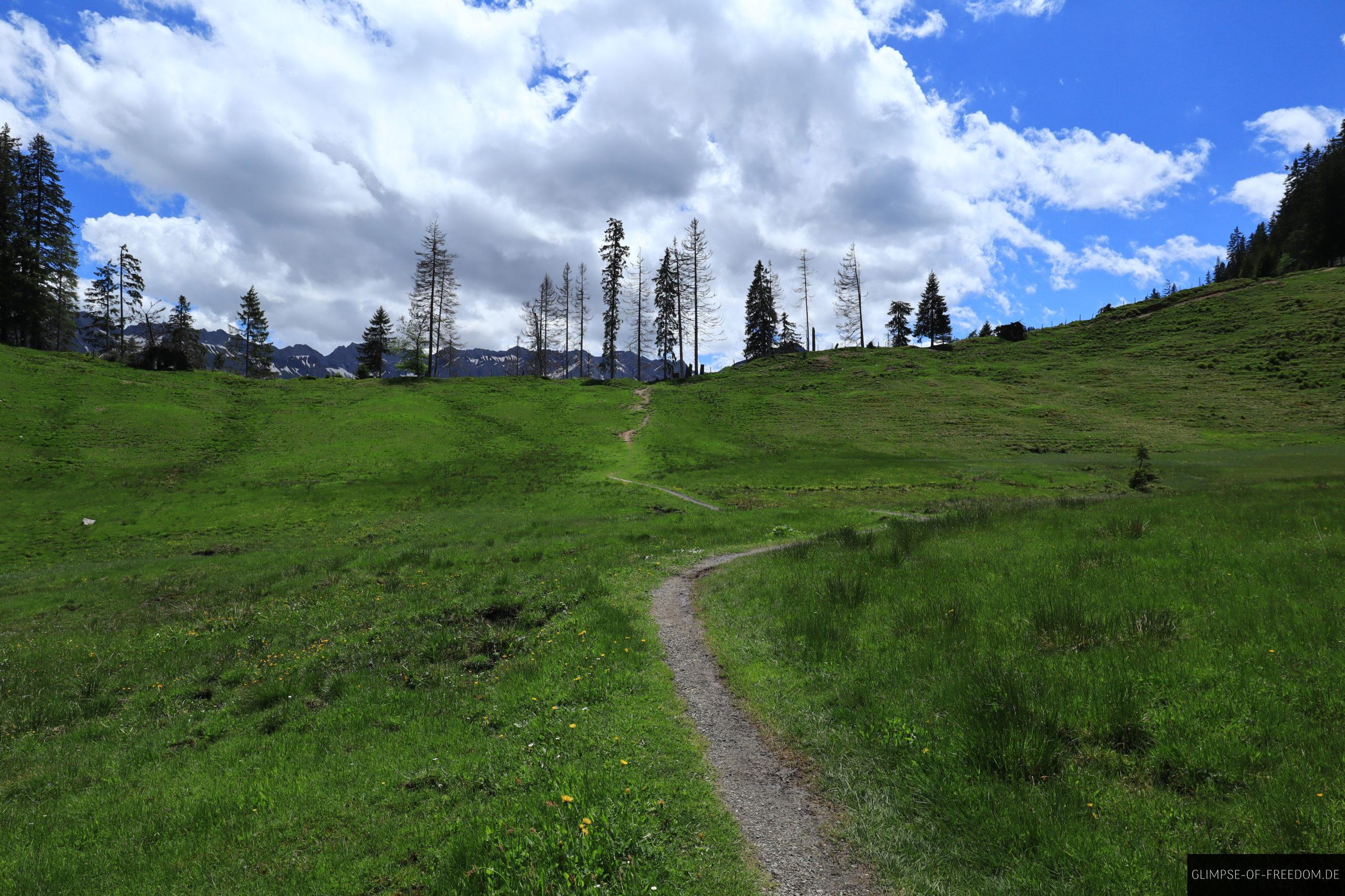 Huehnermoos Weg scaled Hühnermoos Weg