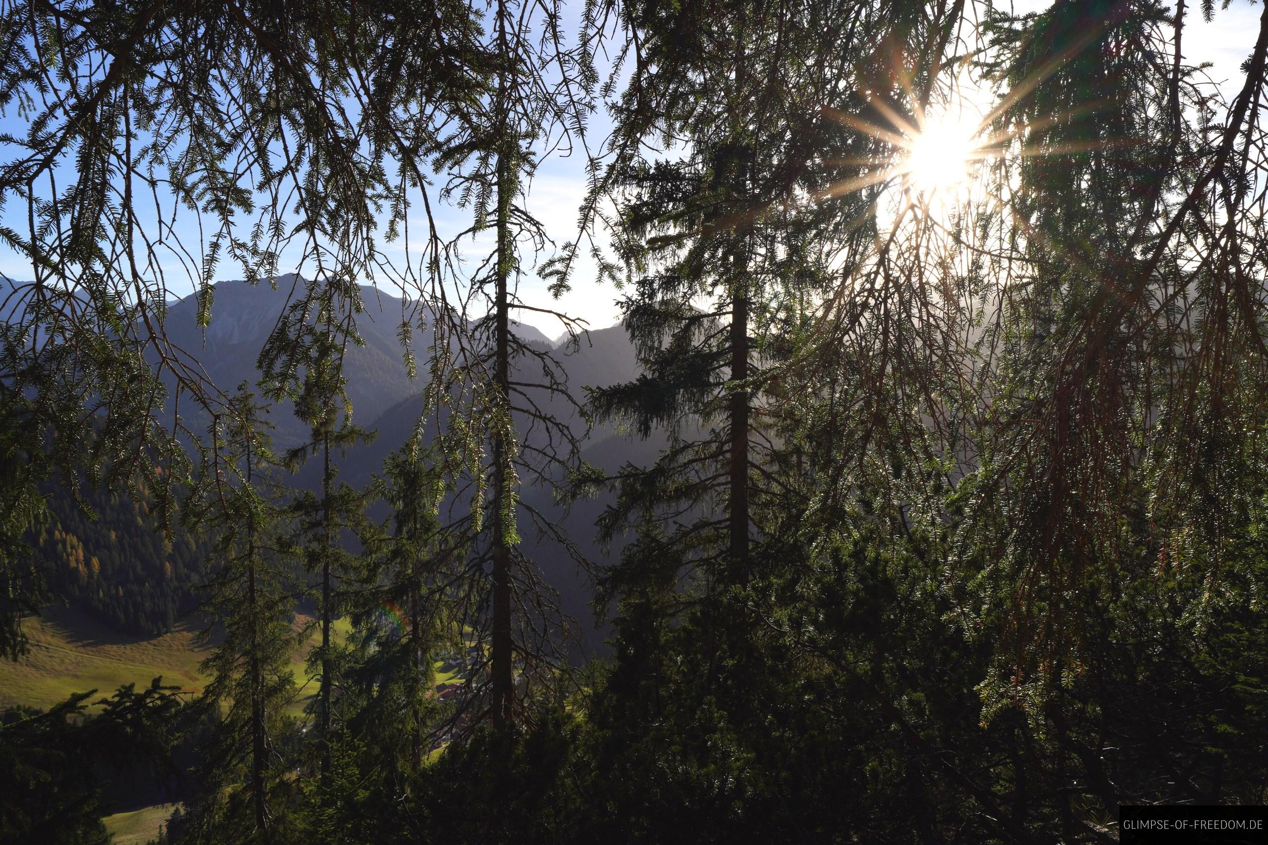 Idylle auf Bergwanderung Oesterreich Idylle auf Bergwanderung Österreich
