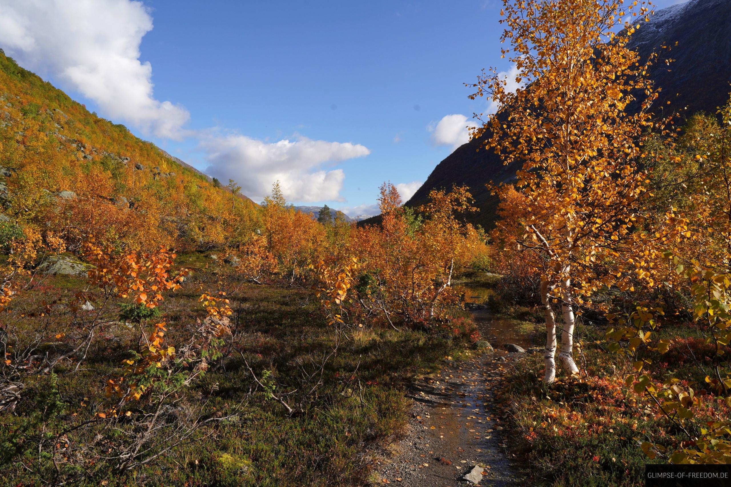 Idyllische Bergsetbreen Wanderung Idyllische Bergsetbreen Wanderung