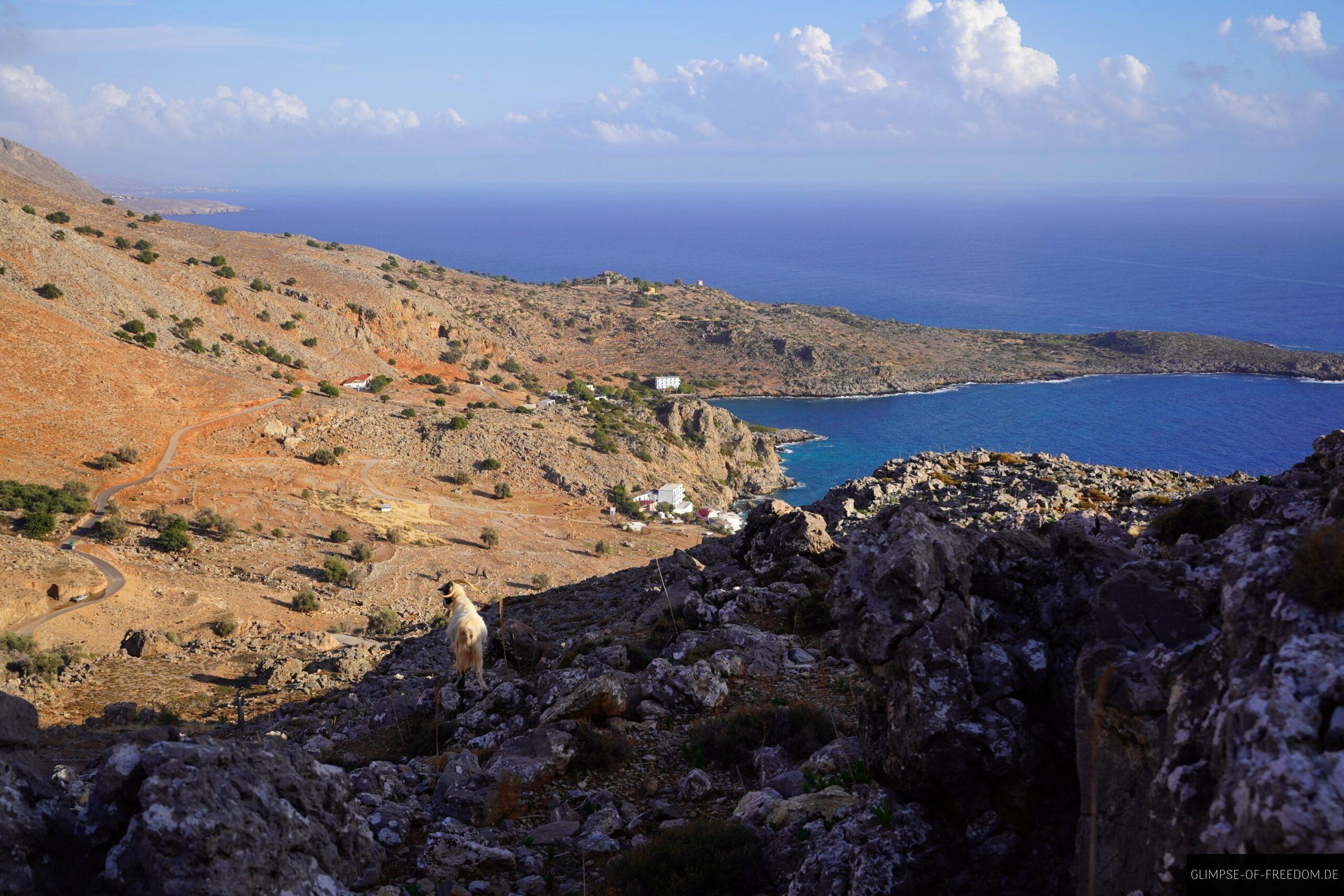 Idyllische Landschaft mit Ziegen scaled Idyllische Landschaft mit Ziegen