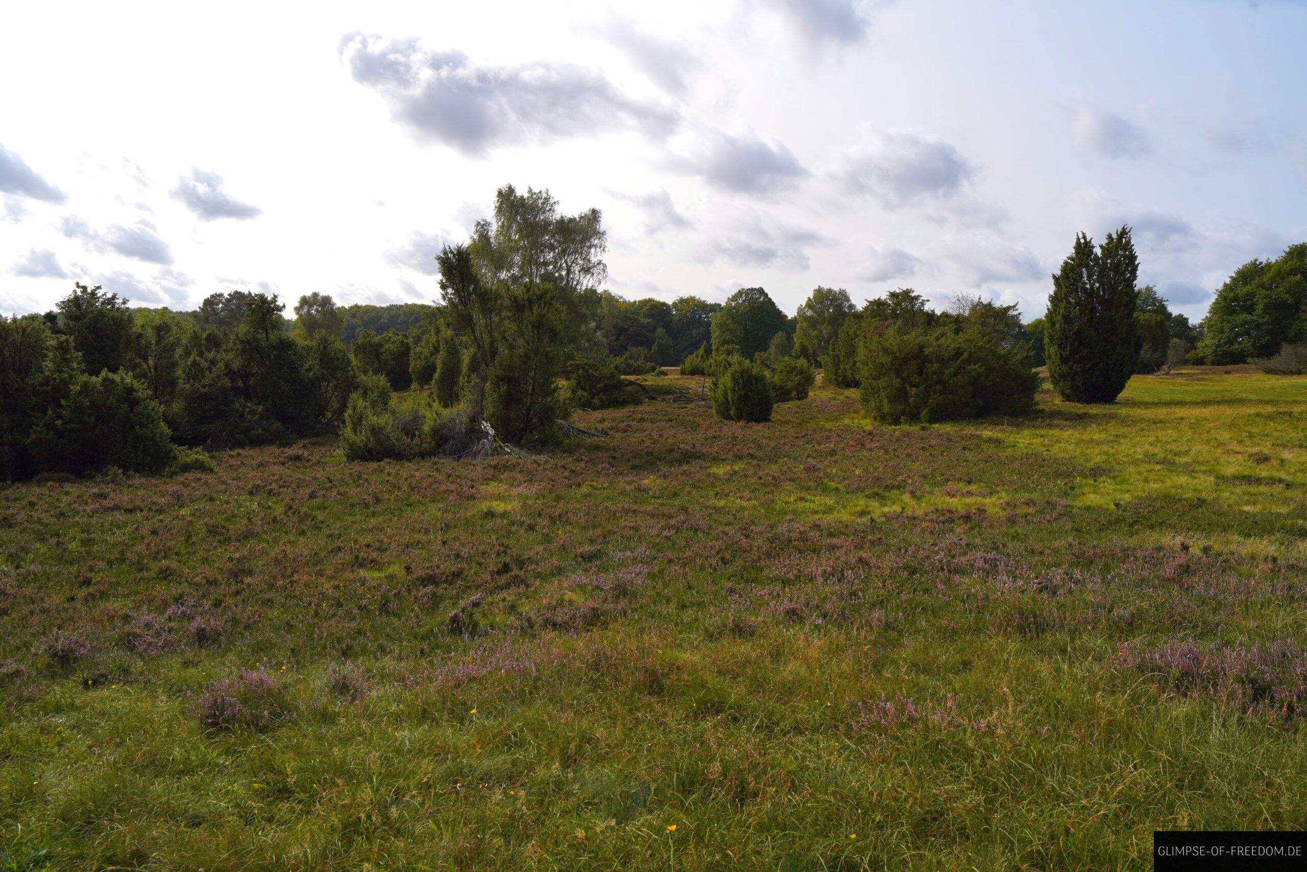 Idyllische Natur auf der Wilseder Berg Tour scaled Idyllische Natur auf der Wilseder Berg Tour