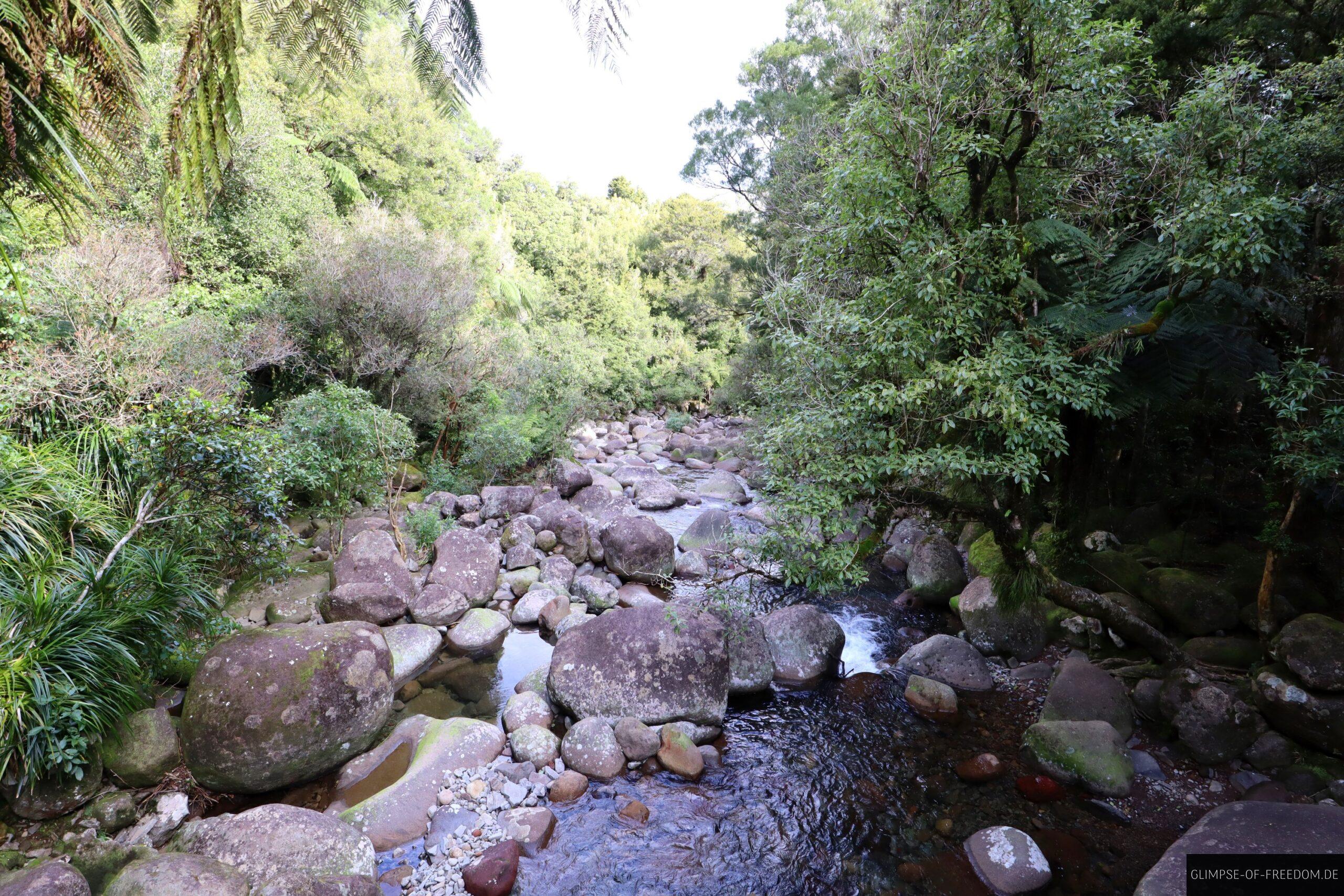 Idyllischer Bach an den Wairere Falls scaled Idyllischer Bach an den Wairere Falls