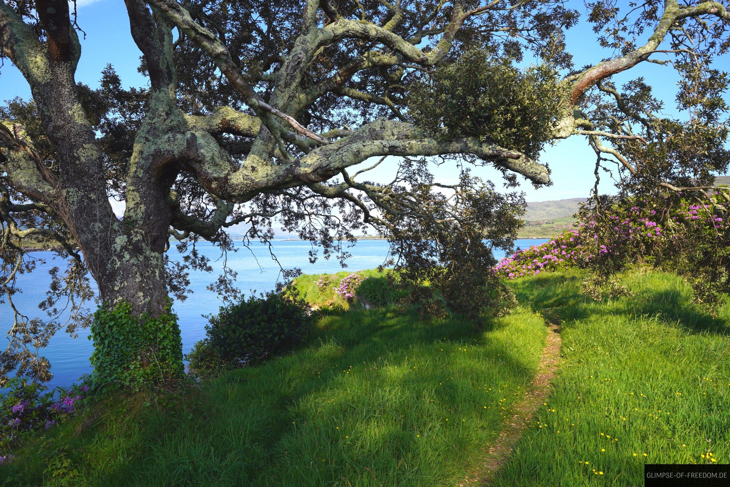 Idyllischer Pfad am Dunboy Castle scaled Idyllischer Pfad am Dunboy Castle
