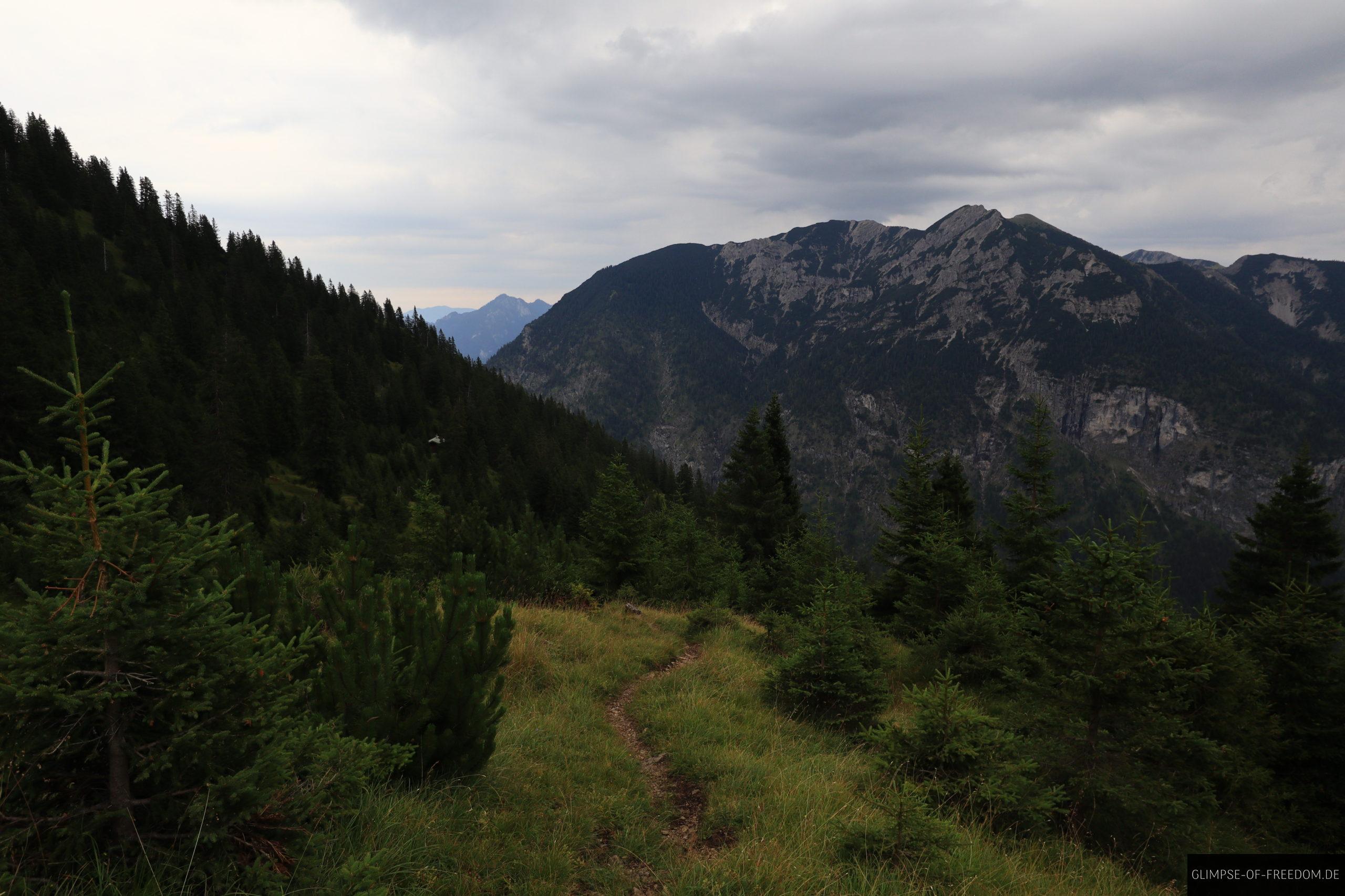 Idyllischer Pfad auf dem Kuchelberg scaled Idyllischer Pfad auf dem Kuchelberg