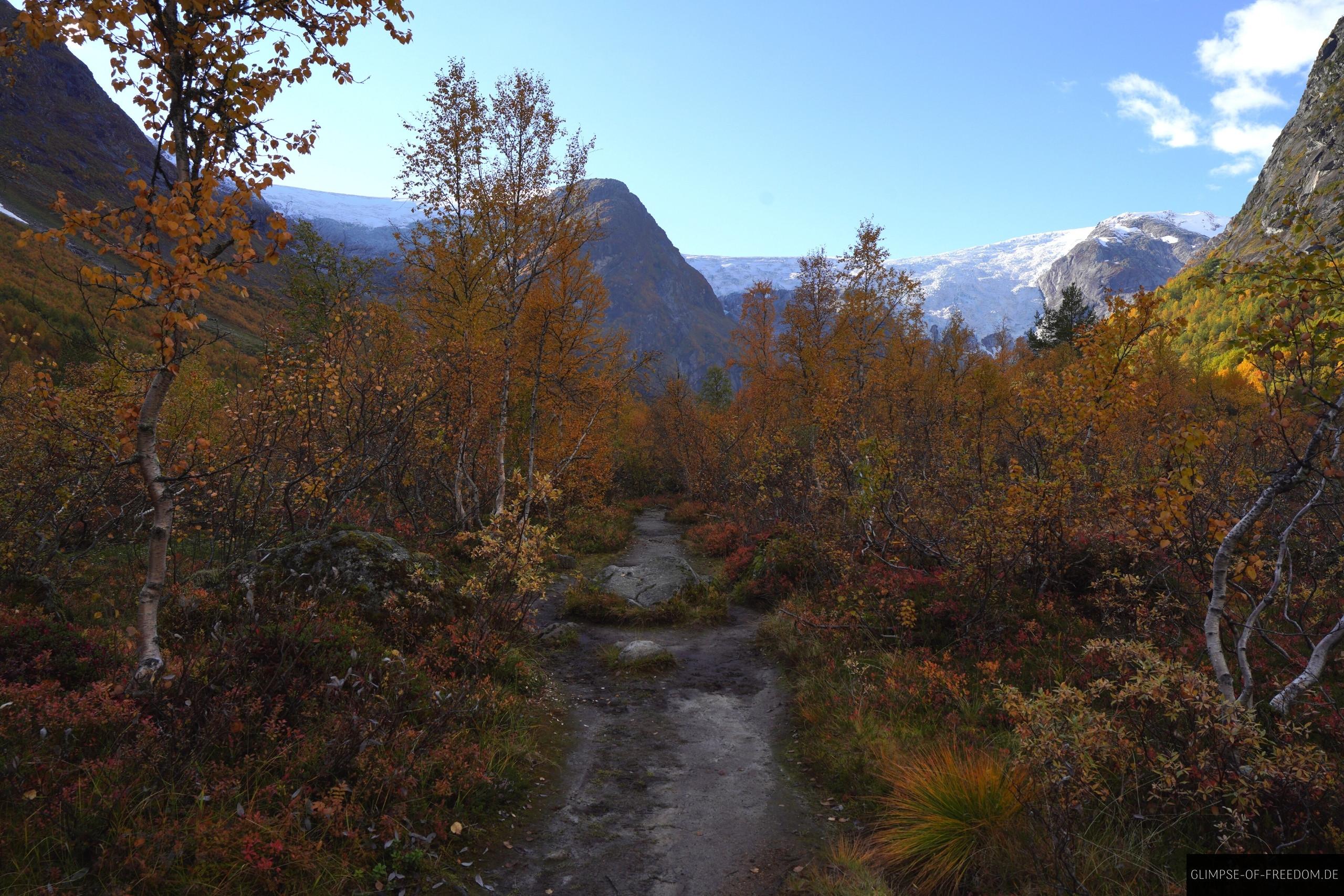 Idyllischer Pfad im Jostedalsbreen Nationalpark Norwegen Idyllischer Pfad im Jostedalsbreen Nationalpark Norwegen