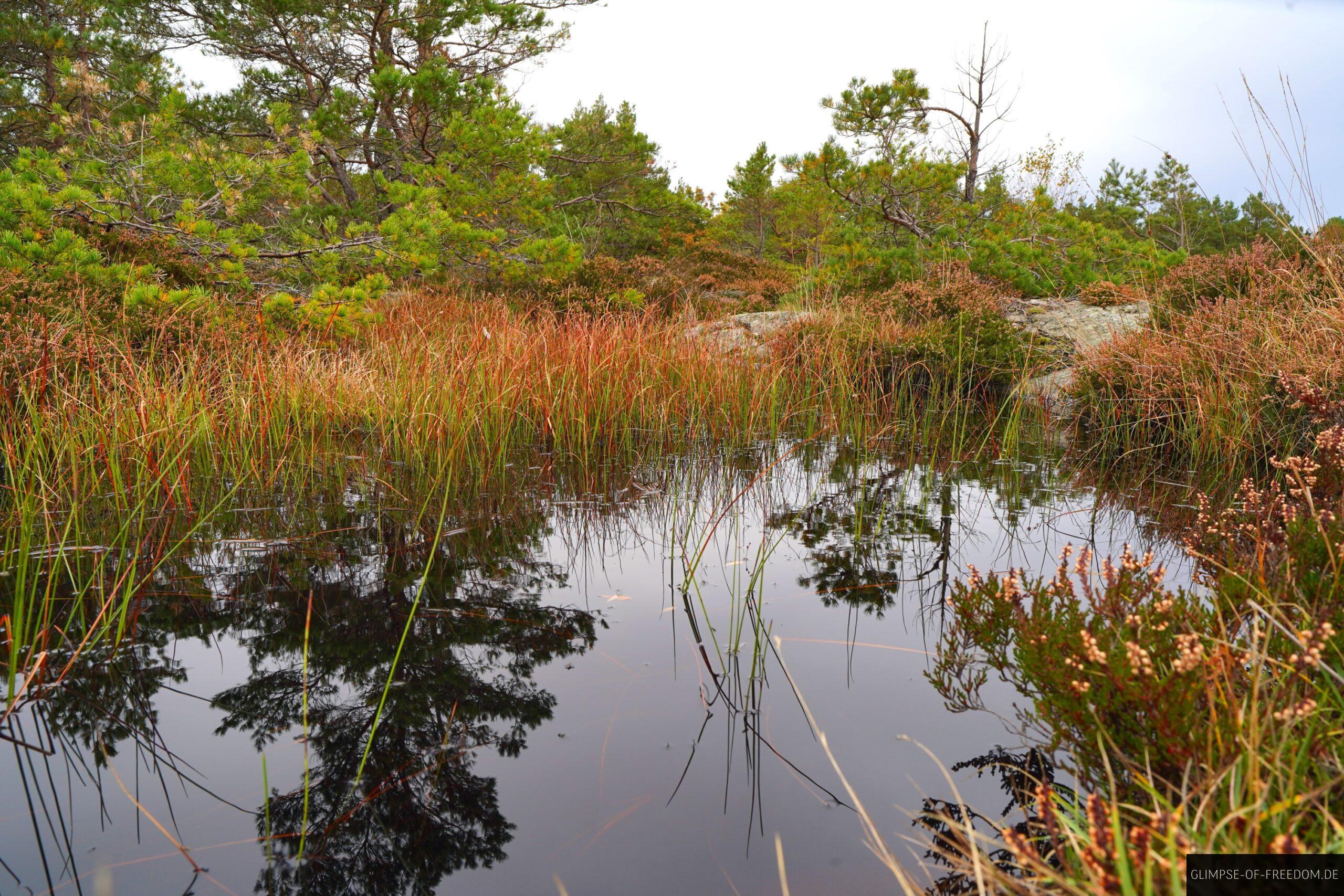 Idyllischer Teich an Norwegens Kueste scaled Idyllischer Teich an Norwegens Küste
