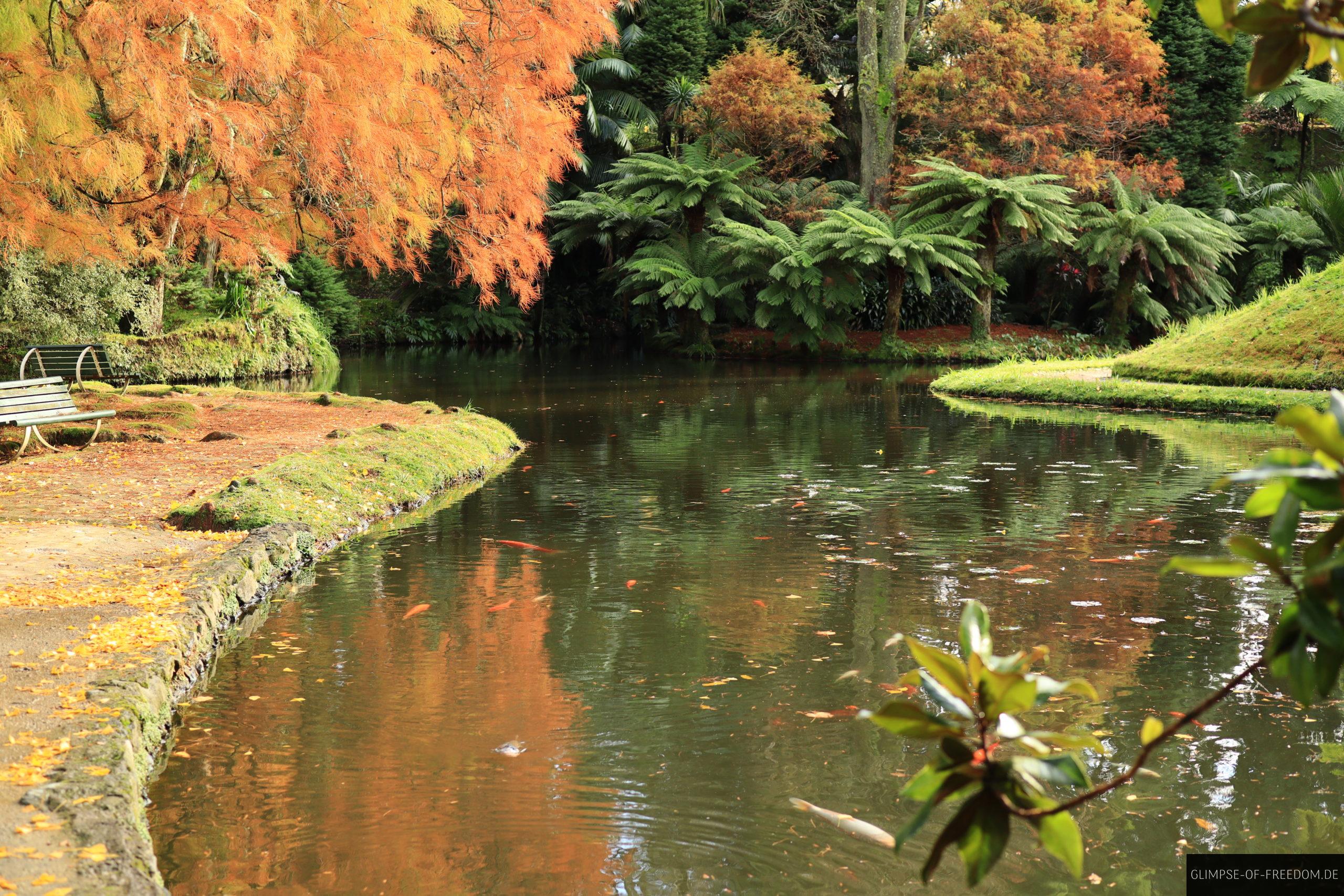 Idyllischer Terra Nostra Park scaled Idyllischer Terra Nostra Park