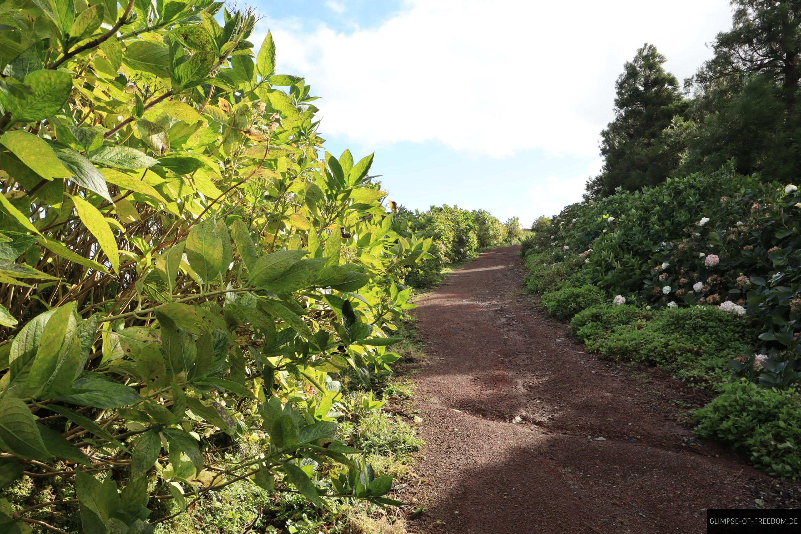 Idyllischer Wanderweg am Lagoas das Empadadas scaled Idyllischer Wanderweg am Lagoas das Empadadas