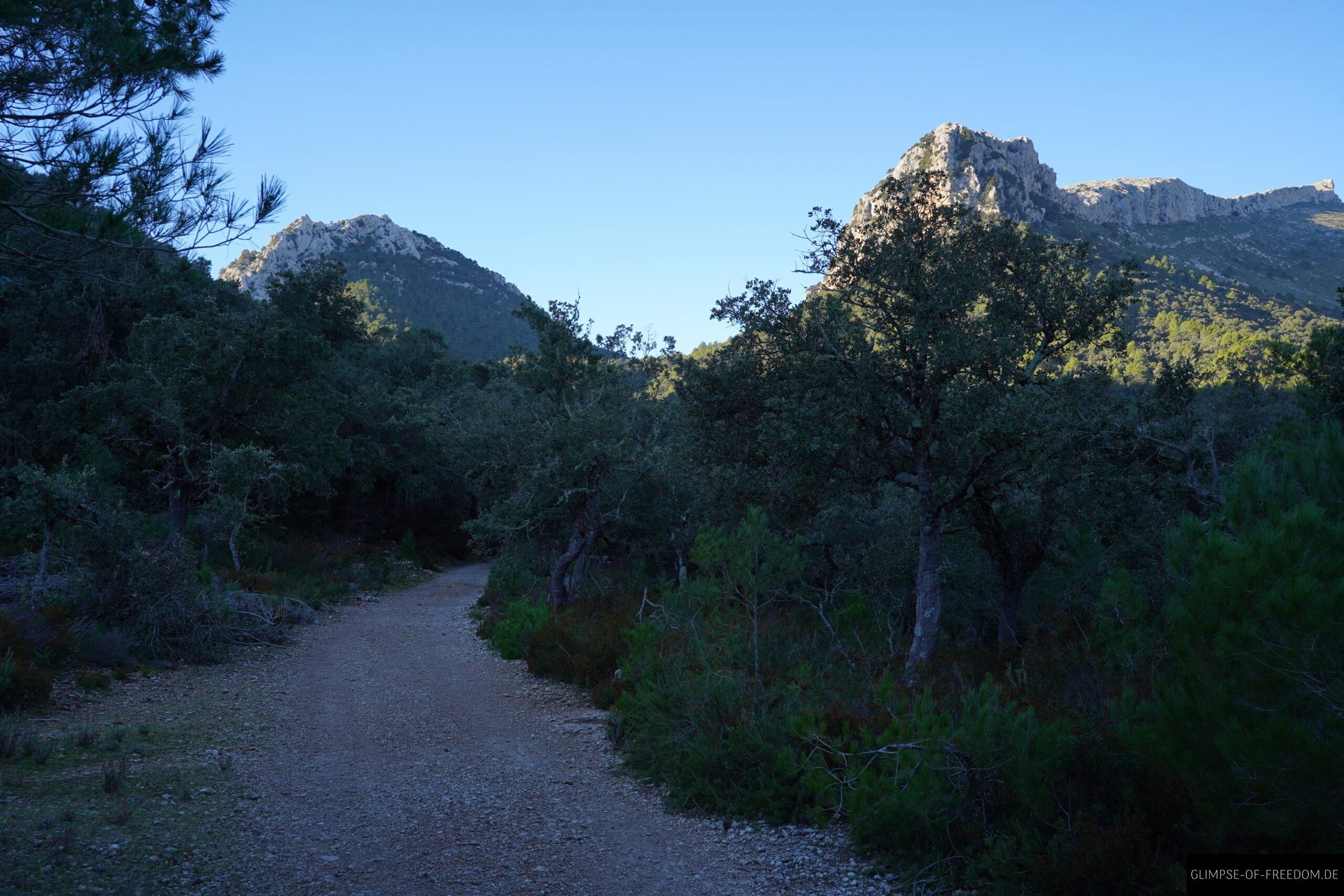 Idyllischer Wanderweg zum Puig de Massanella scaled Idyllischer Wanderweg zum Puig de Massanella