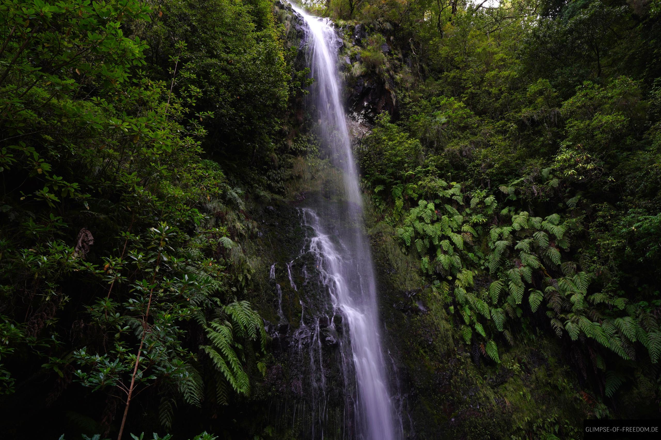 Idyllischer Wasserfall an der Levada do Caldeirao Verde Idyllischer Wasserfall an der Levada do Caldeirao Verde