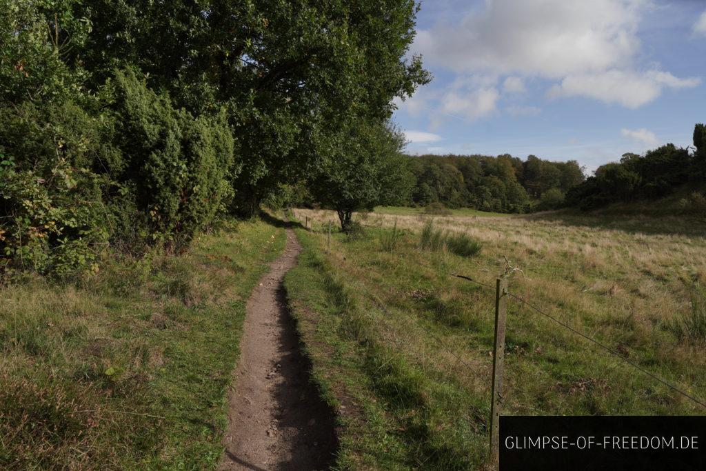 Idyllischer Weg am Rand der Wiesen