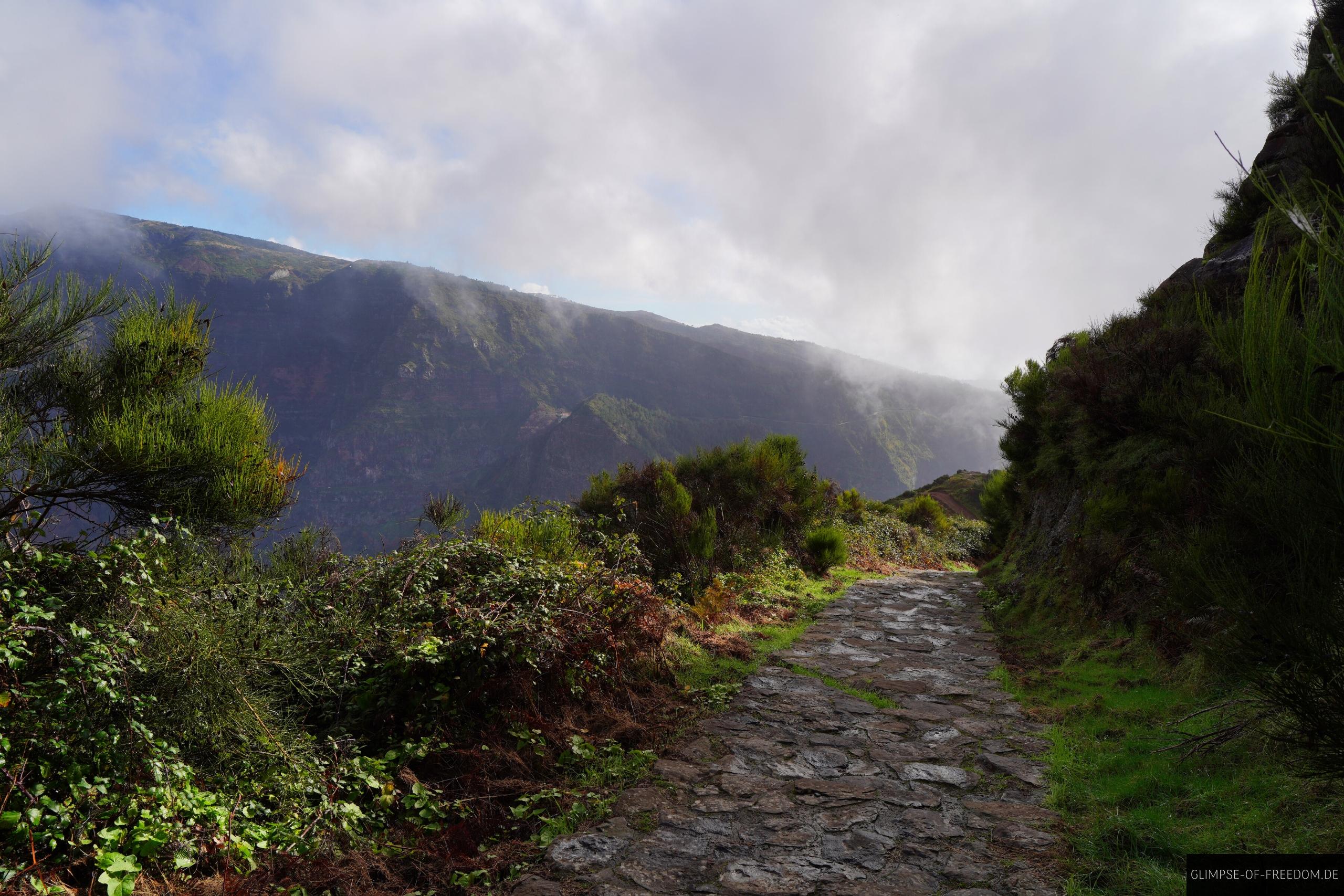 Idyllischer Weg in Madeiras Bergen Idyllischer Weg in Madeiras Bergen