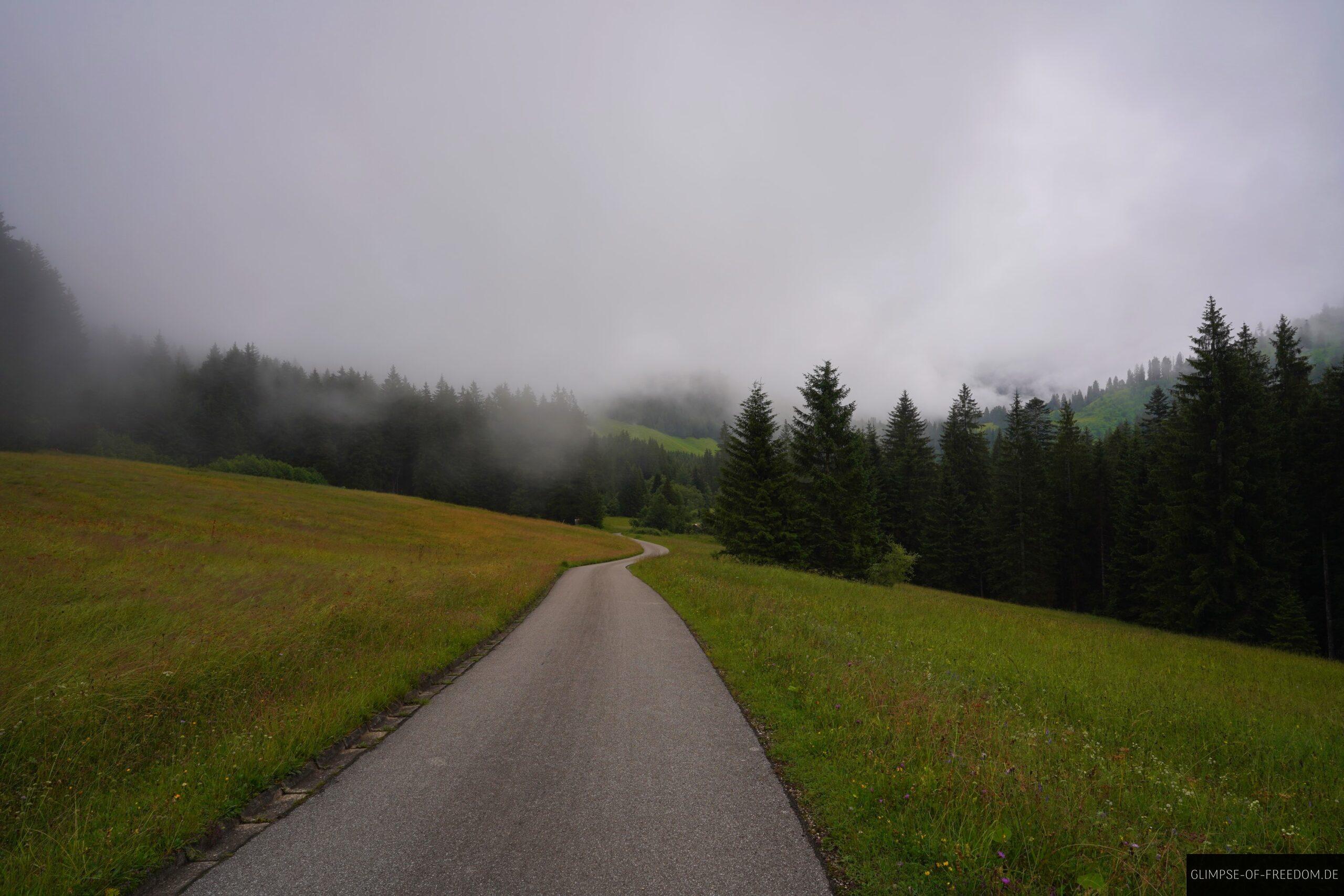 Idyllischer Weideweg Nebel scaled Idyllischer Weideweg Nebel