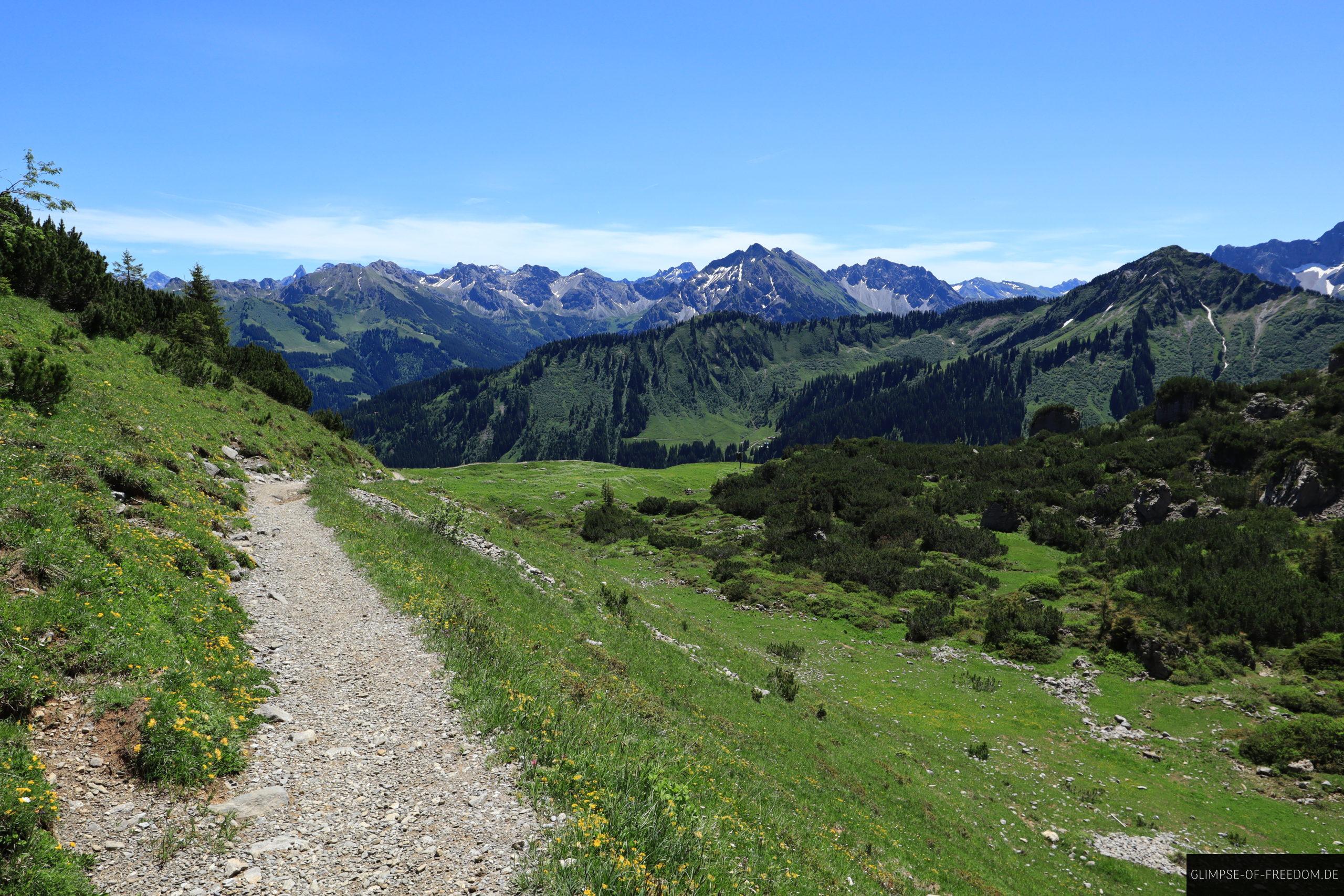 Ifen Abstieg durchs Gruene scaled Ifen Abstieg durchs Grüne