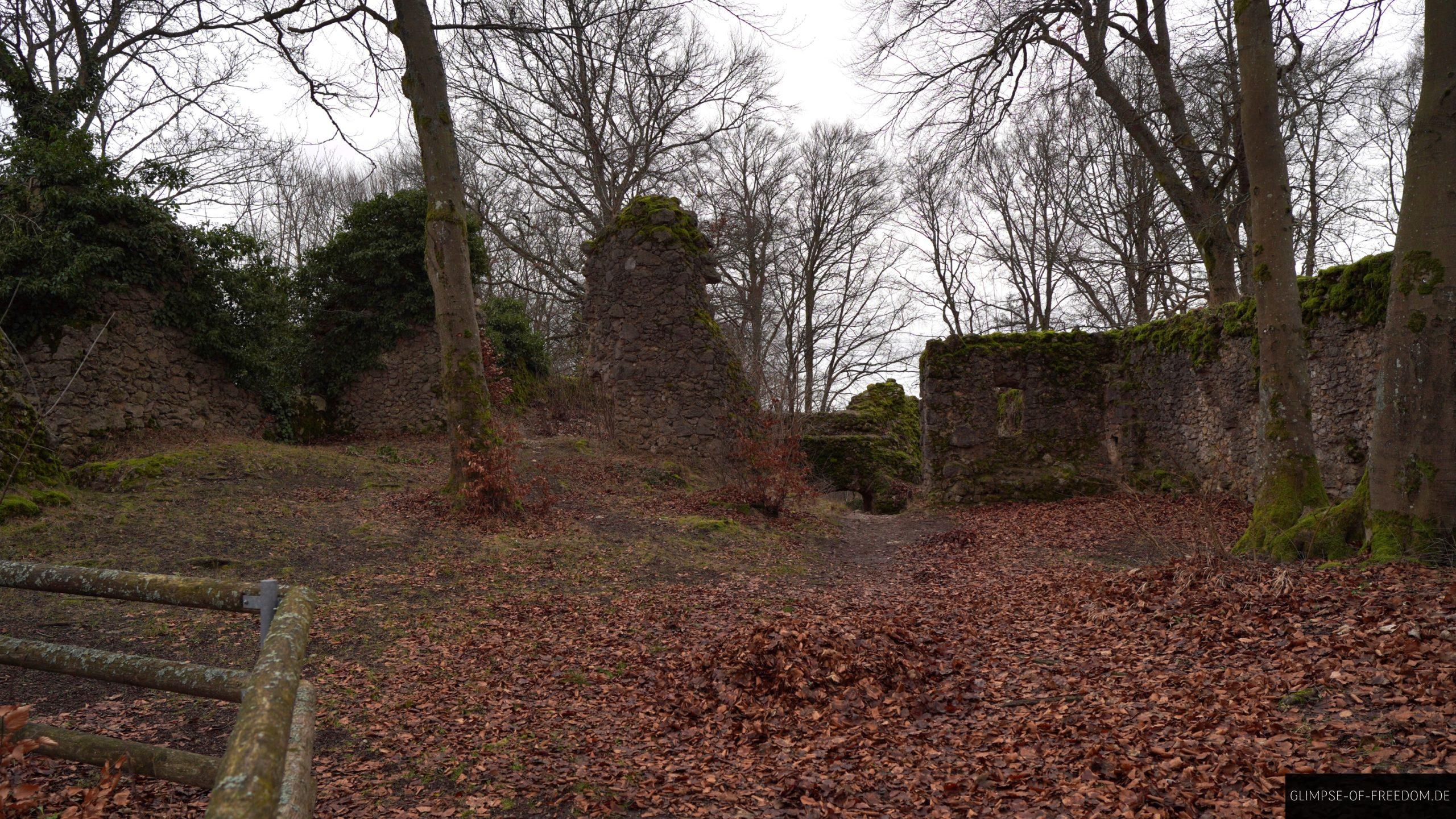 Im Innern der Burgruine Leienfels scaled Im Innern der Burgruine Leienfels