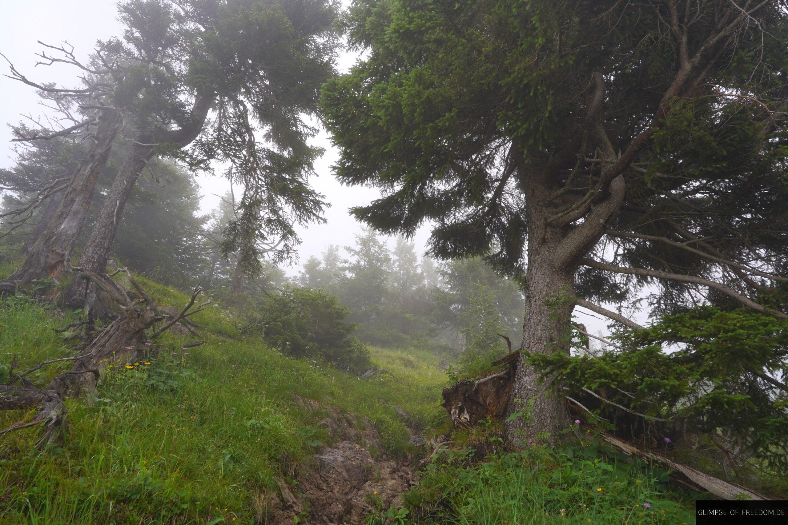 Imberger Horn Wanderweg scaled Imberger Horn Wanderweg