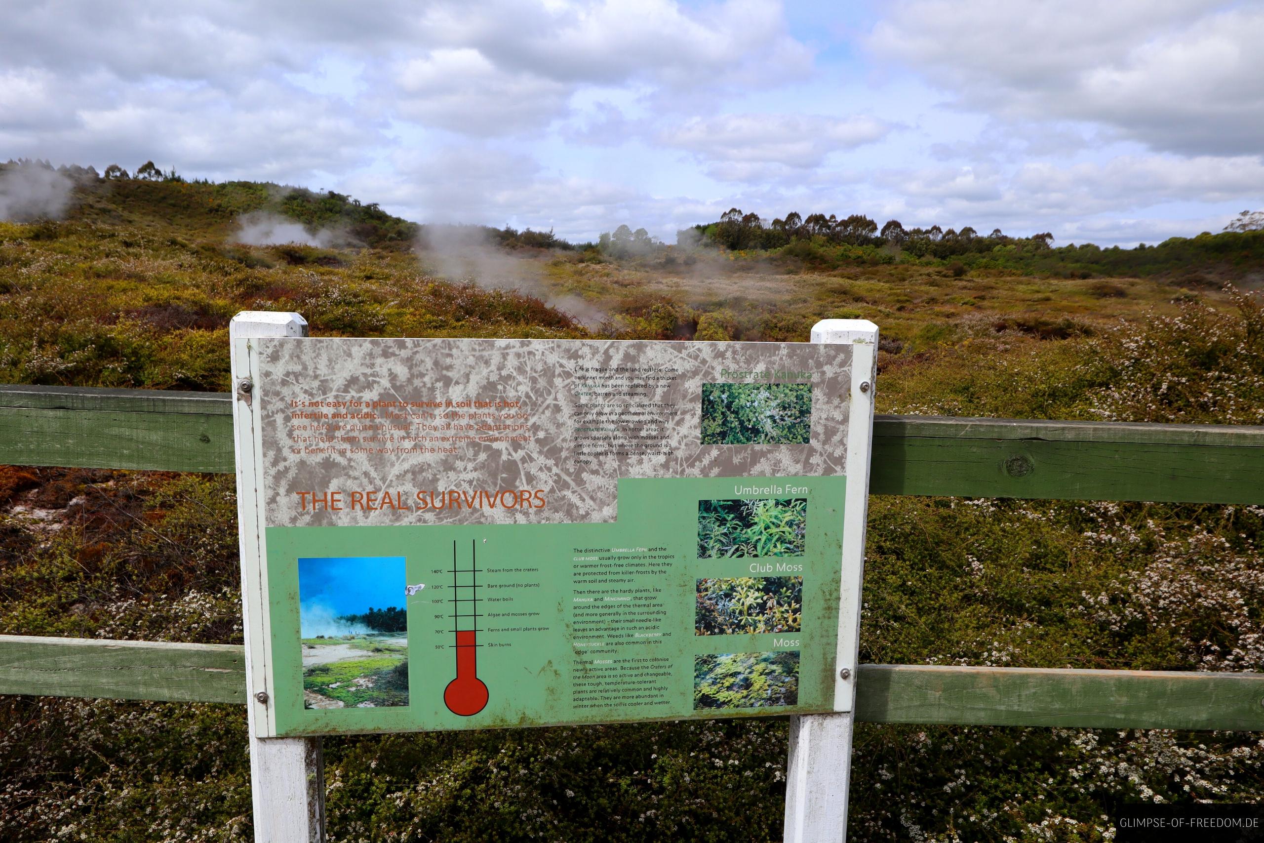 Infotafel zur Flora im Craters of the Moon Park Infotafel zur Flora im Craters of the Moon Park