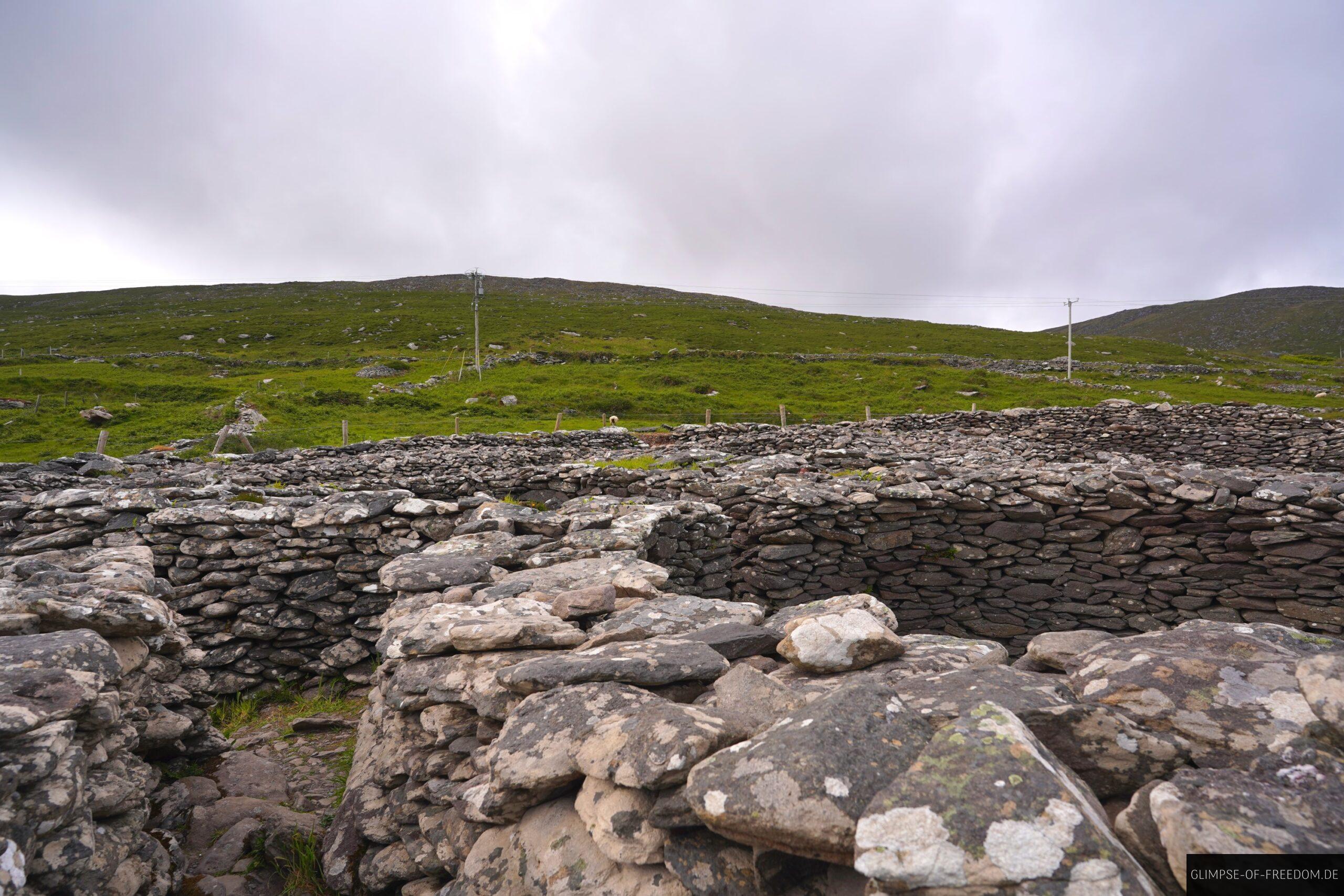 Innerhalb des Cashel Murphy scaled Innerhalb des Cashel Murphy
