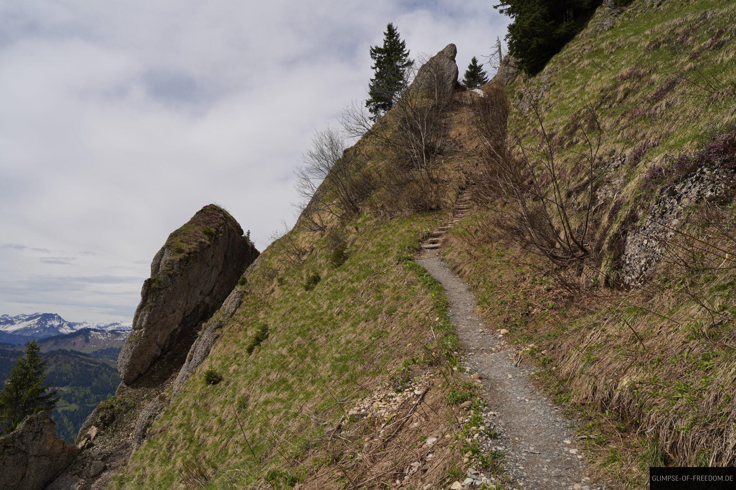 Interessanter Pfad auf der Siplinger Kopf Tour scaled Interessanter Pfad auf der Siplinger Kopf Tour