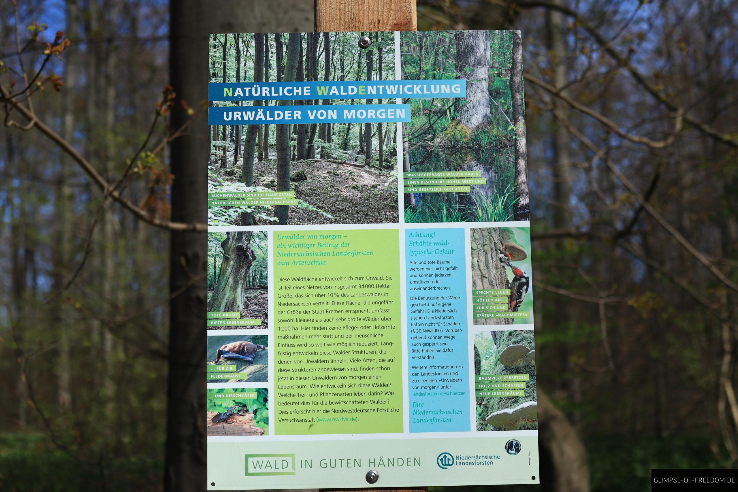 Interessantes Schild ueber die Entwicklung neuer Urwaelder am Hohenstein scaled Interessantes Schild über die Entwicklung neuer Urwälder am Hohenstein
