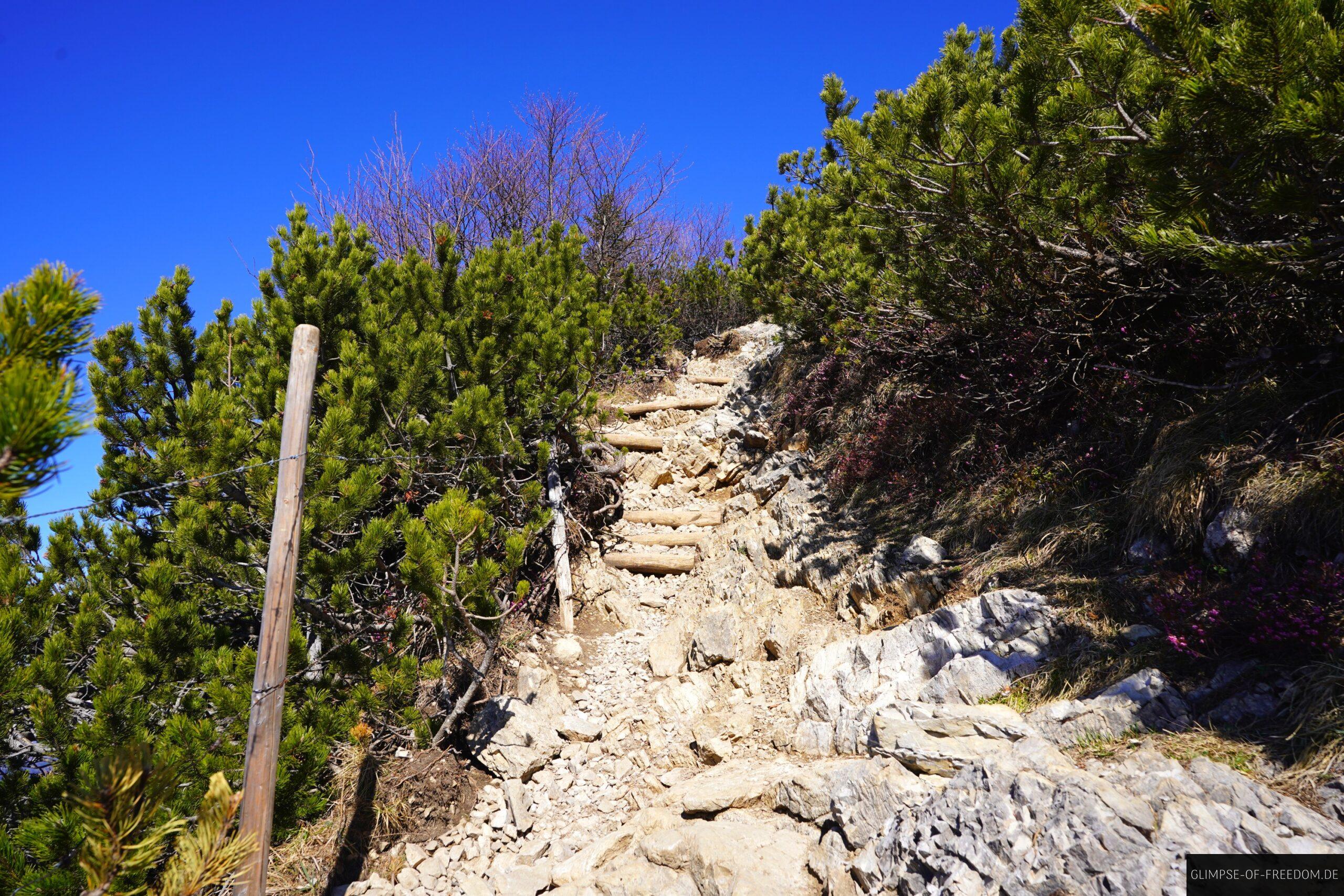 Jochberg Besteigung nahe dem Gipfel scaled Jochberg Besteigung nahe dem Gipfel