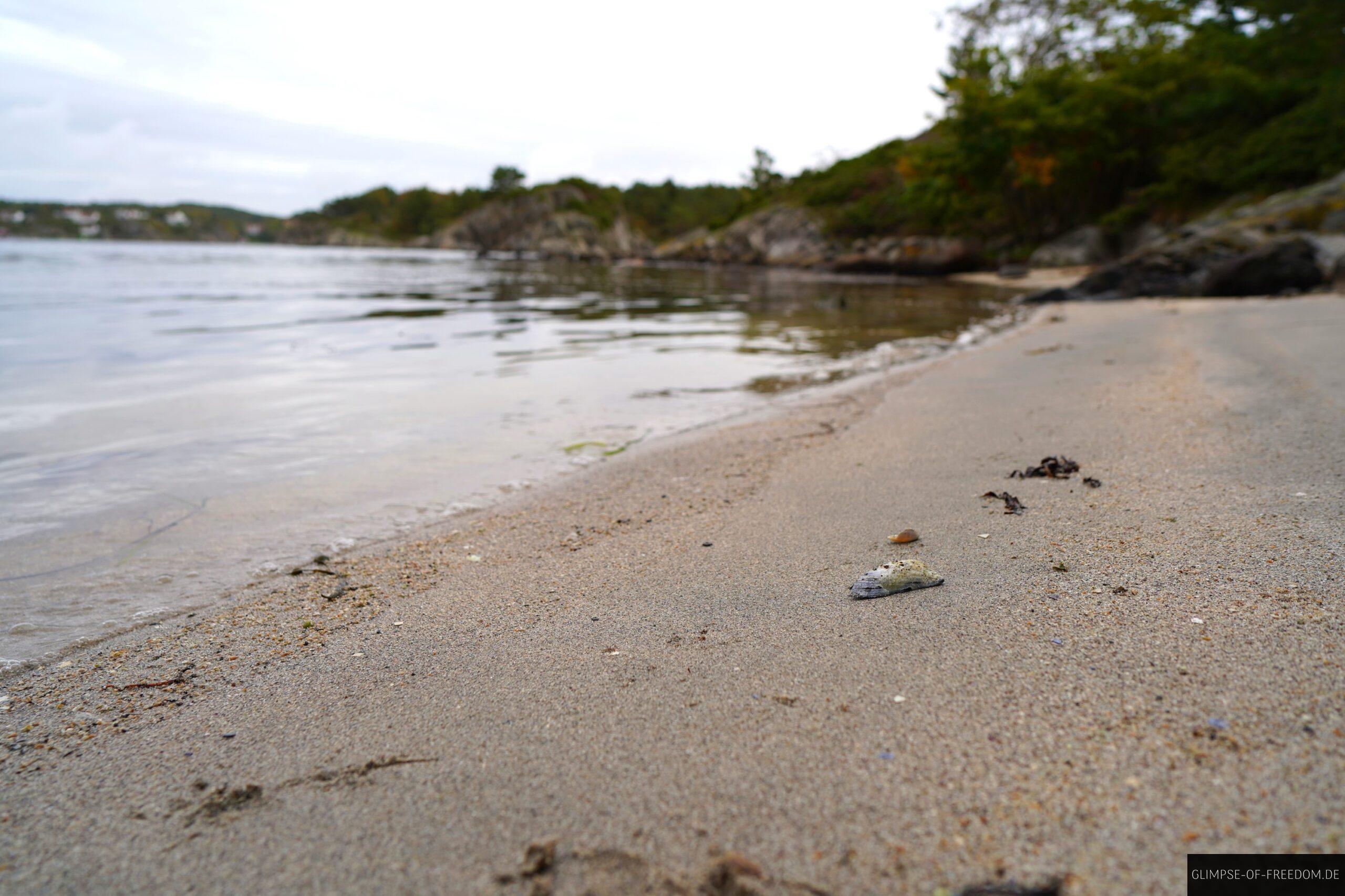 Kalvehageneset Sandstrand scaled Kalvehageneset Sandstrand