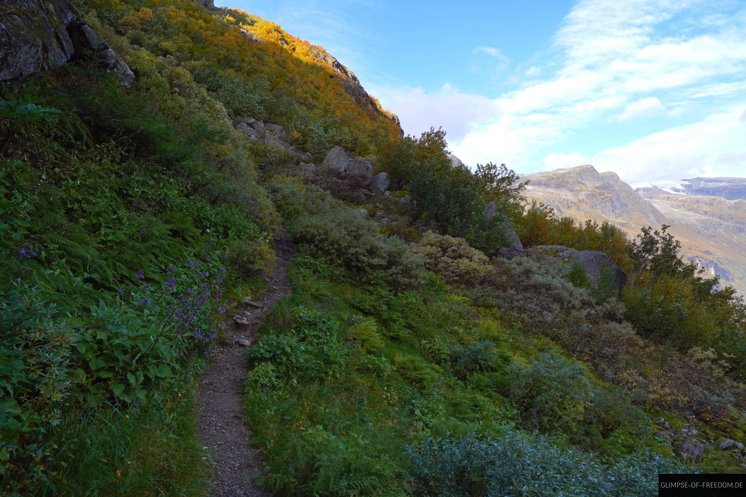 Kattanakken Wanderung durchs Gruene scaled Kattanakken Wanderung durchs Grüne