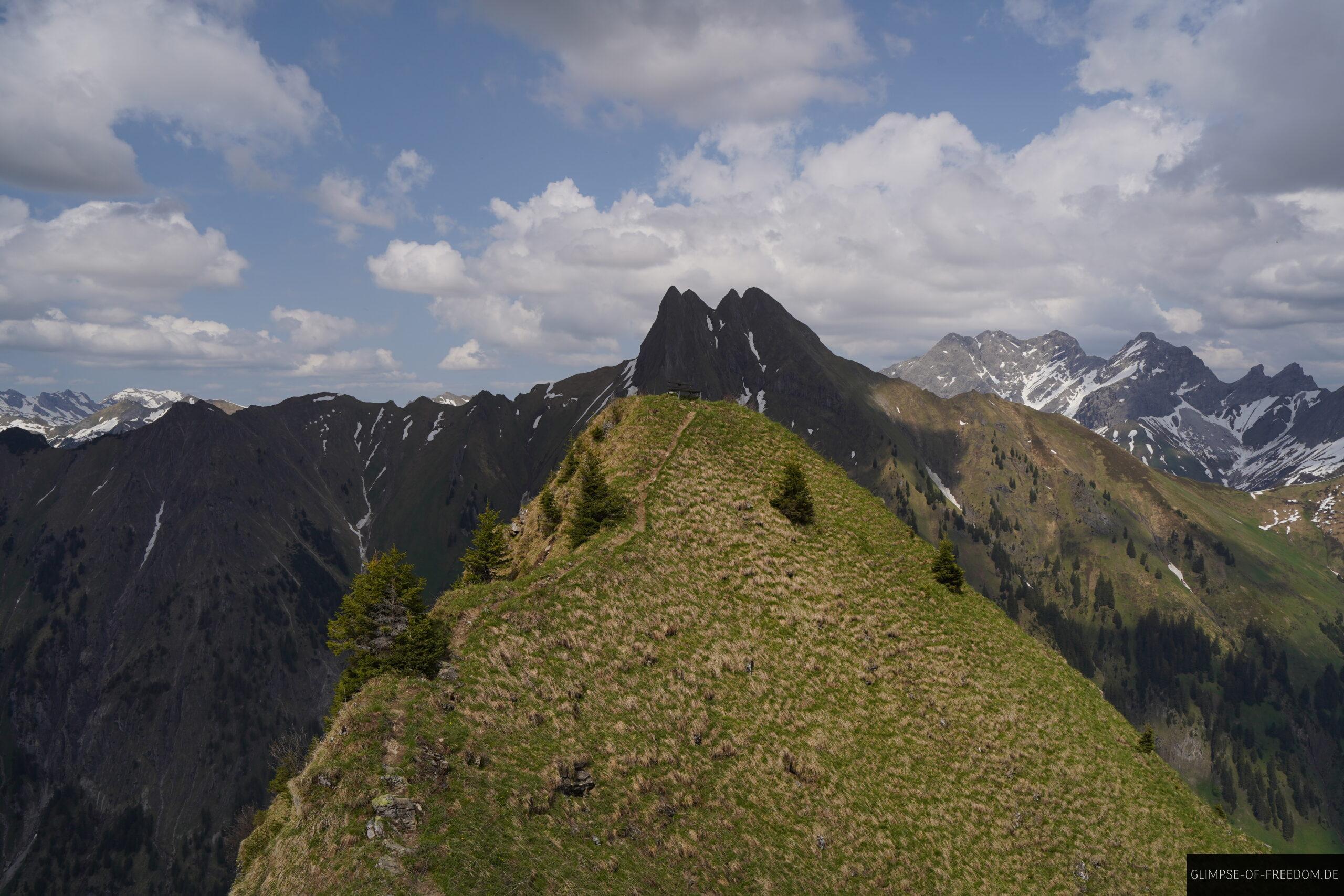 Kegelkopf Der spitze Grasberg scaled Kegelkopf Der spitze Grasberg