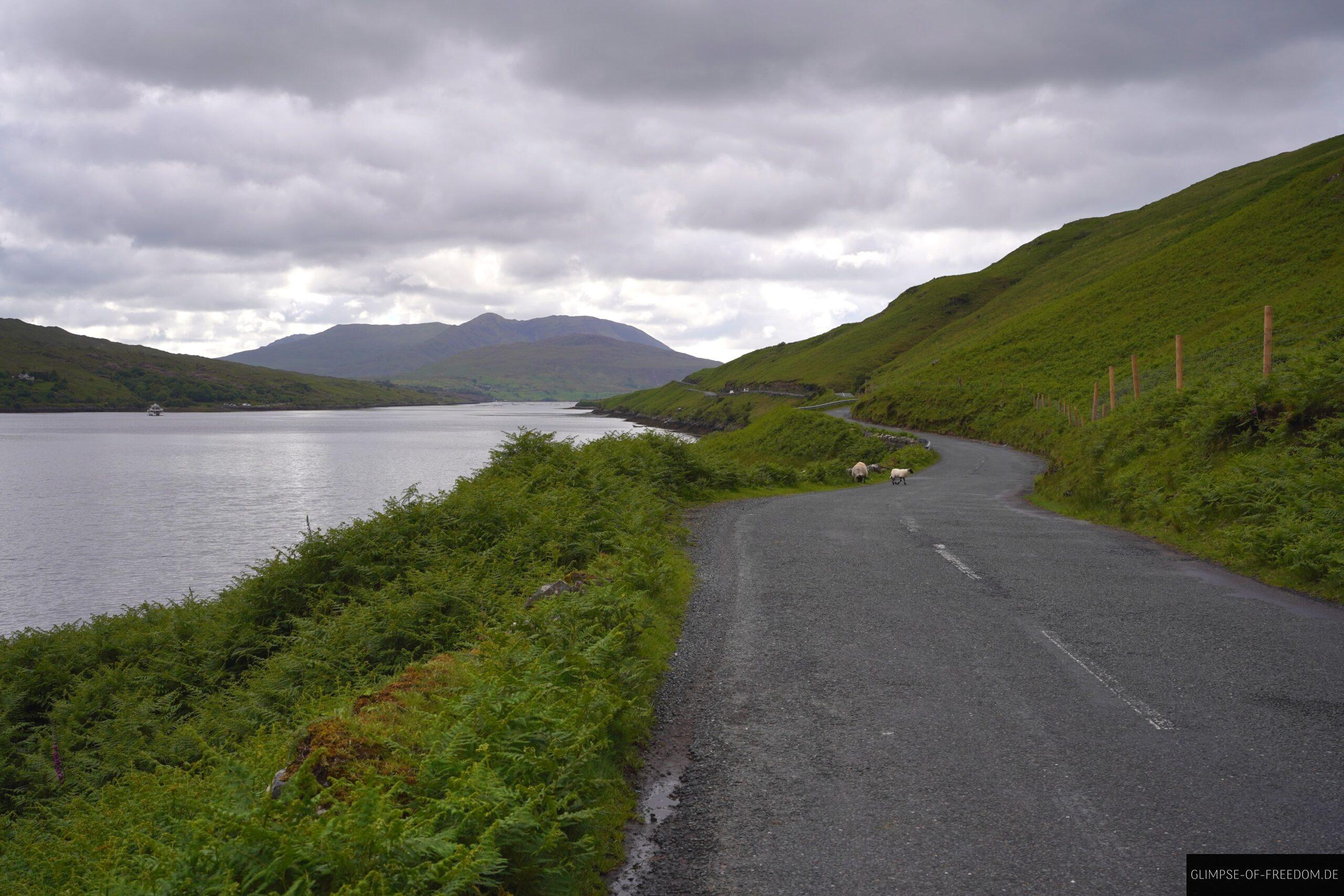 Killary Fjord Strasse scaled Killary Fjord Straße