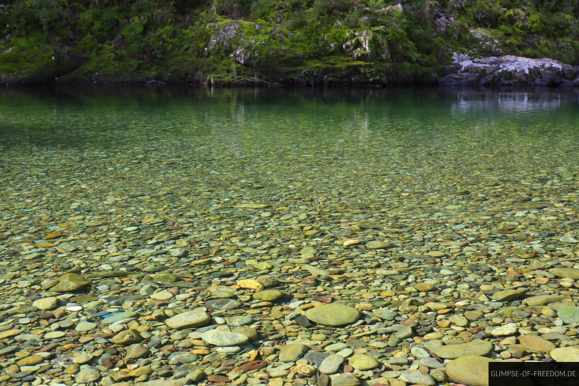 Klares Wasser des Pelorus Rivers Klares Wasser des Pelorus Rivers
