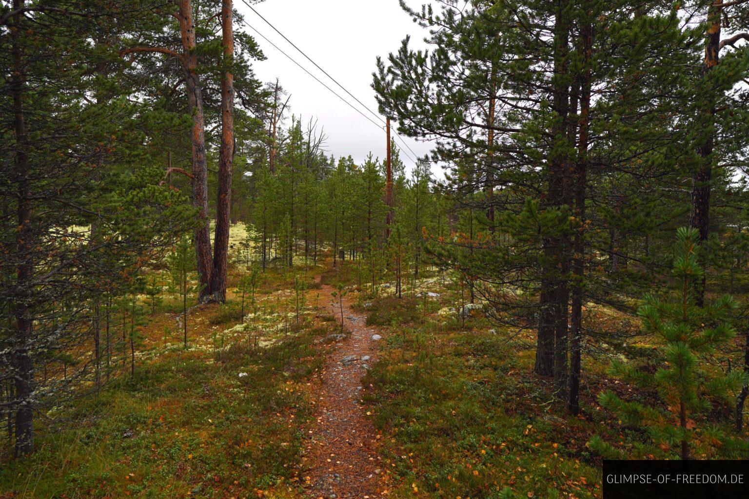 Rondane Landschaftsroute Infos, Tipps und Erfahrungen