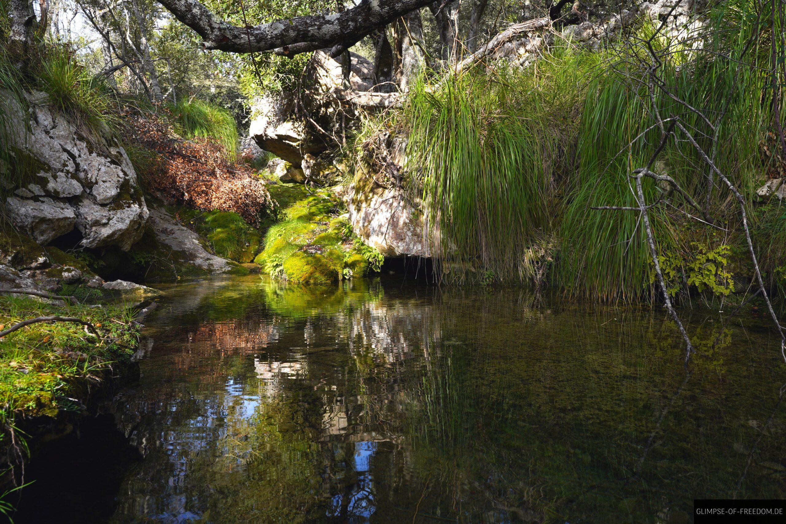 Kleiner Teich auf Mallorca scaled Kleiner Teich auf Mallorca