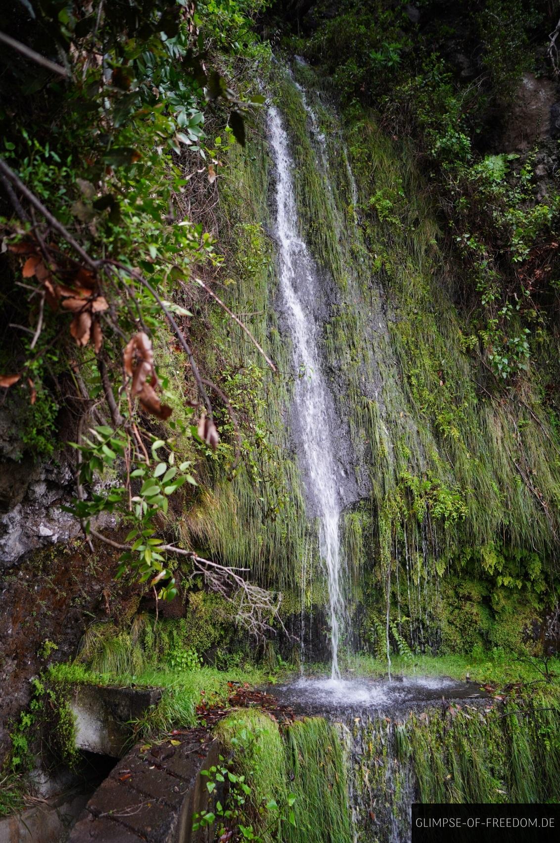 Kleiner Wasserfall am Wegrand der Levada Nova Kleiner Wasserfall am Wegrand der Levada Nova