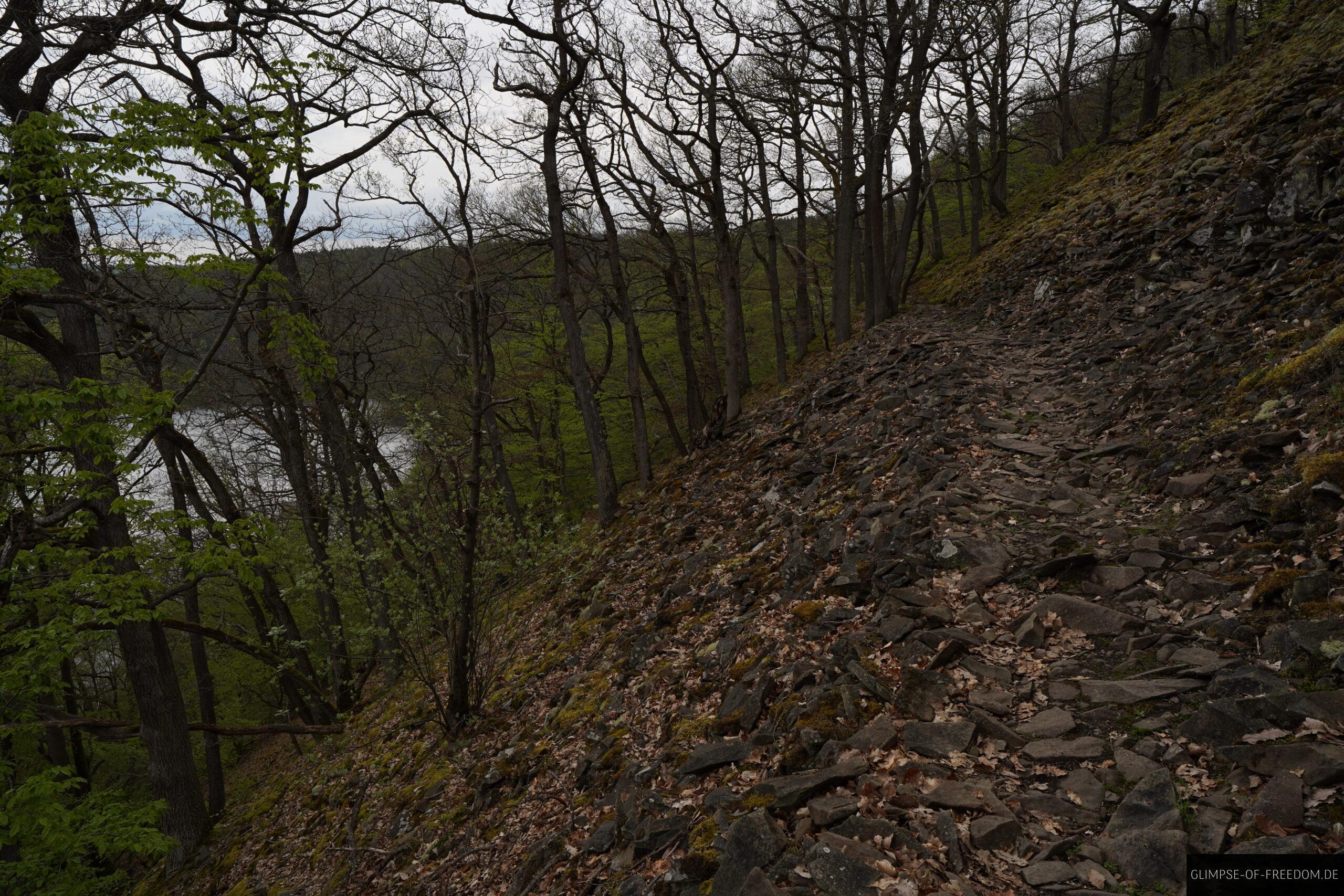 Knorreichenstieg Rueckweg scaled Knorreichenstieg Rückweg