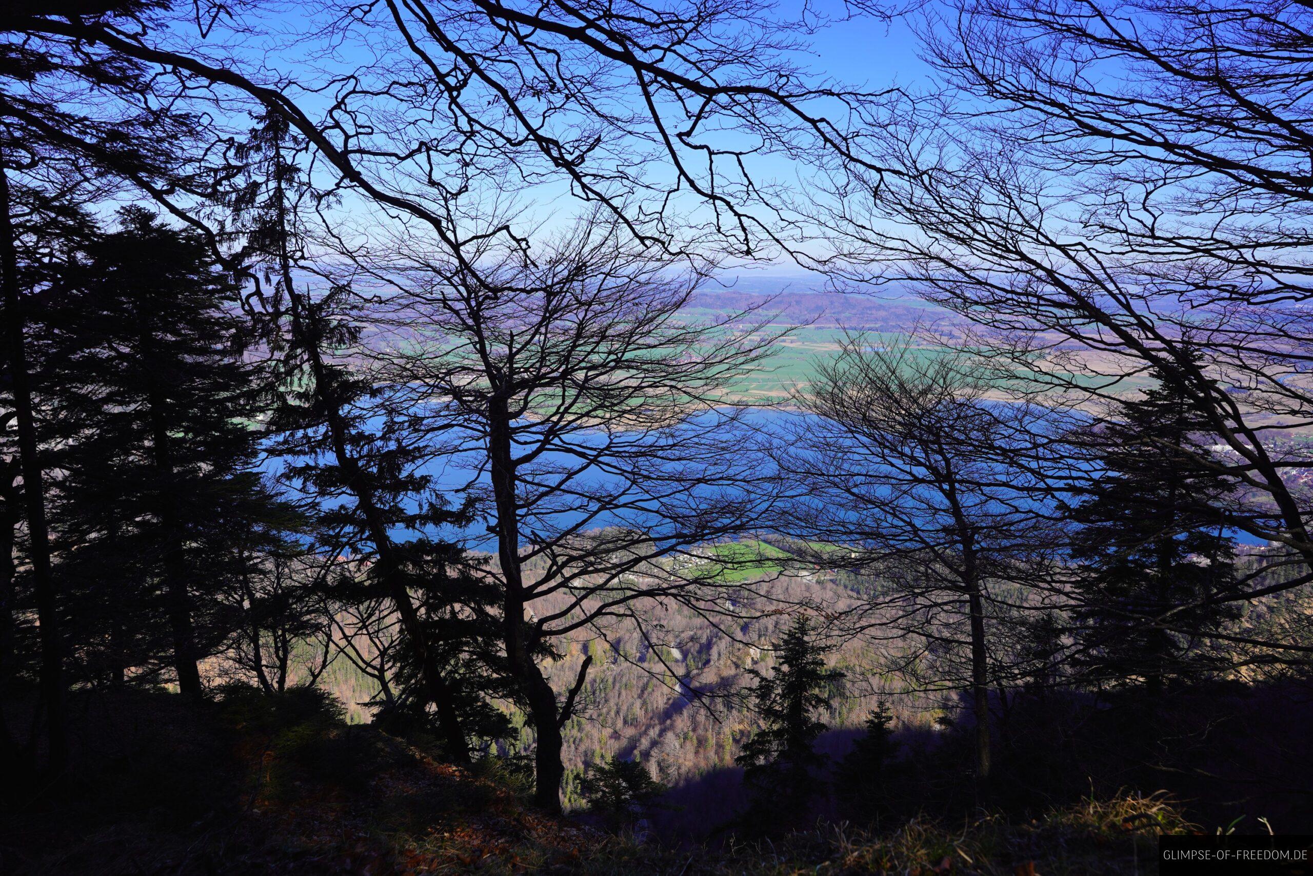 Kochelseeblick durch die Baeume scaled Kochelseeblick durch die Bäume